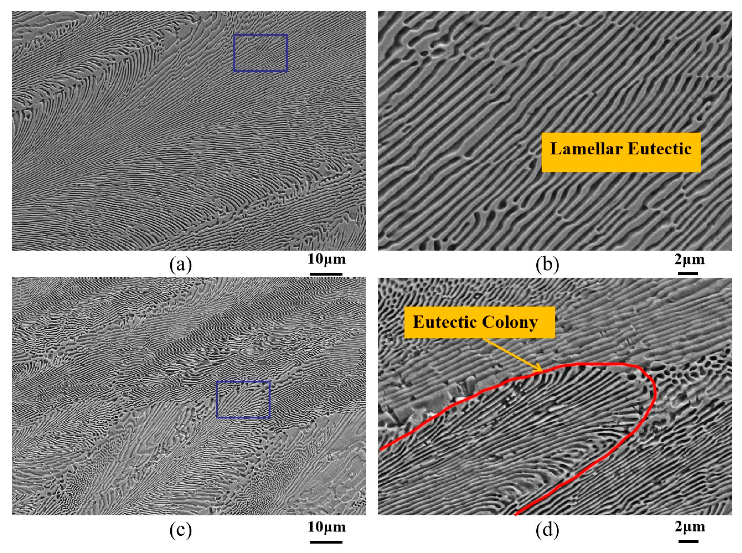 Materials 18 04933 g002