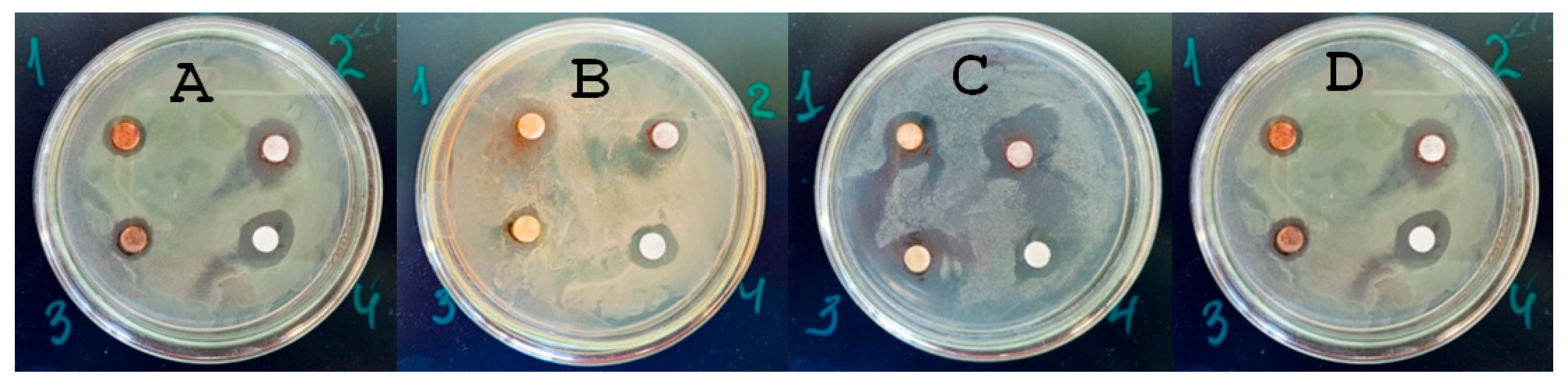 Materials 18 04952 g001