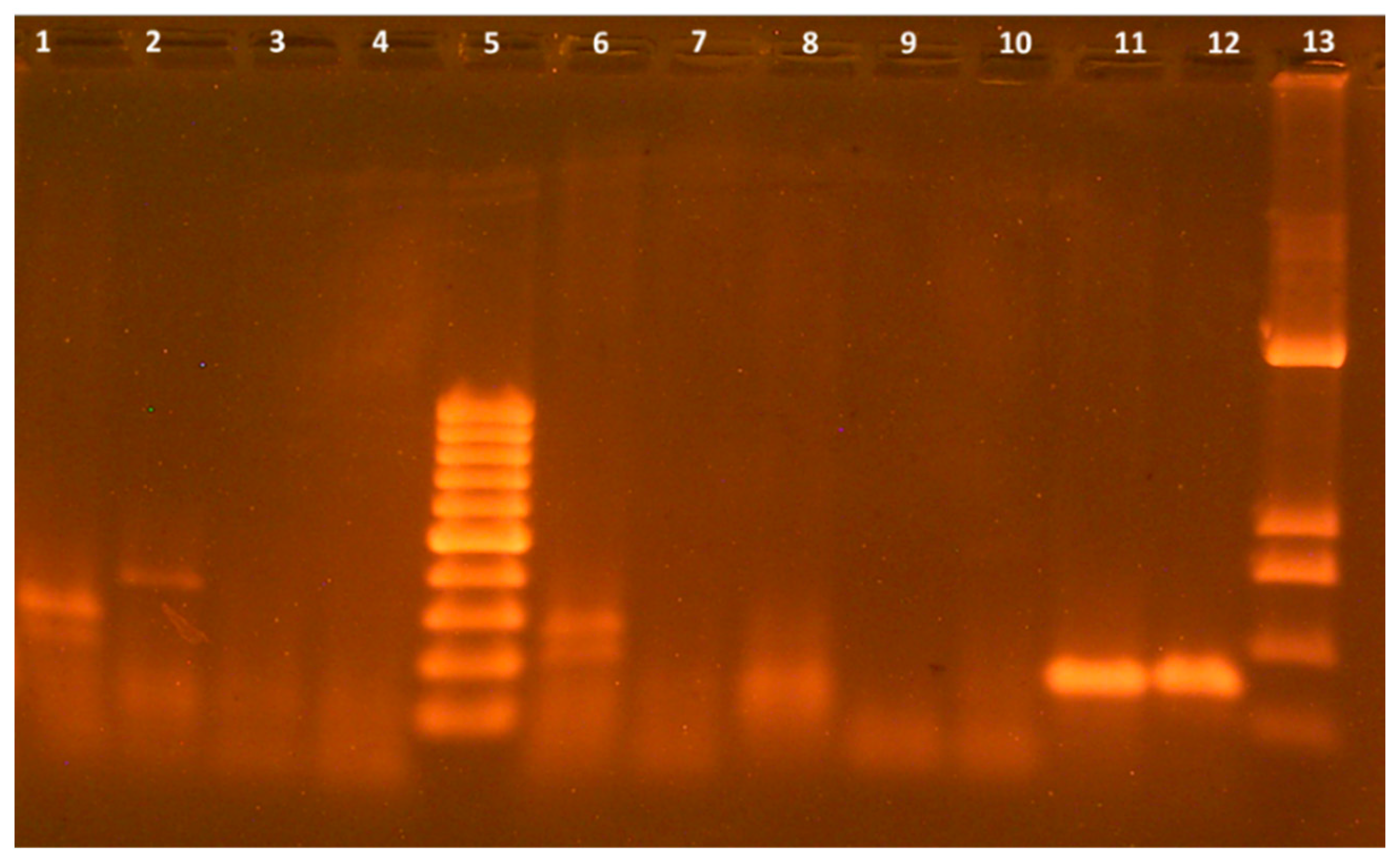 Materials 18 04952 g003