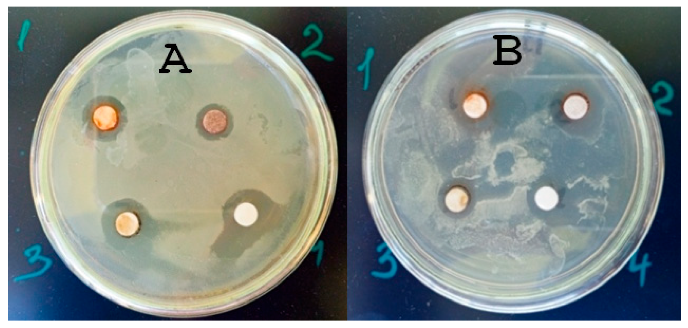 Materials 18 04952 g004