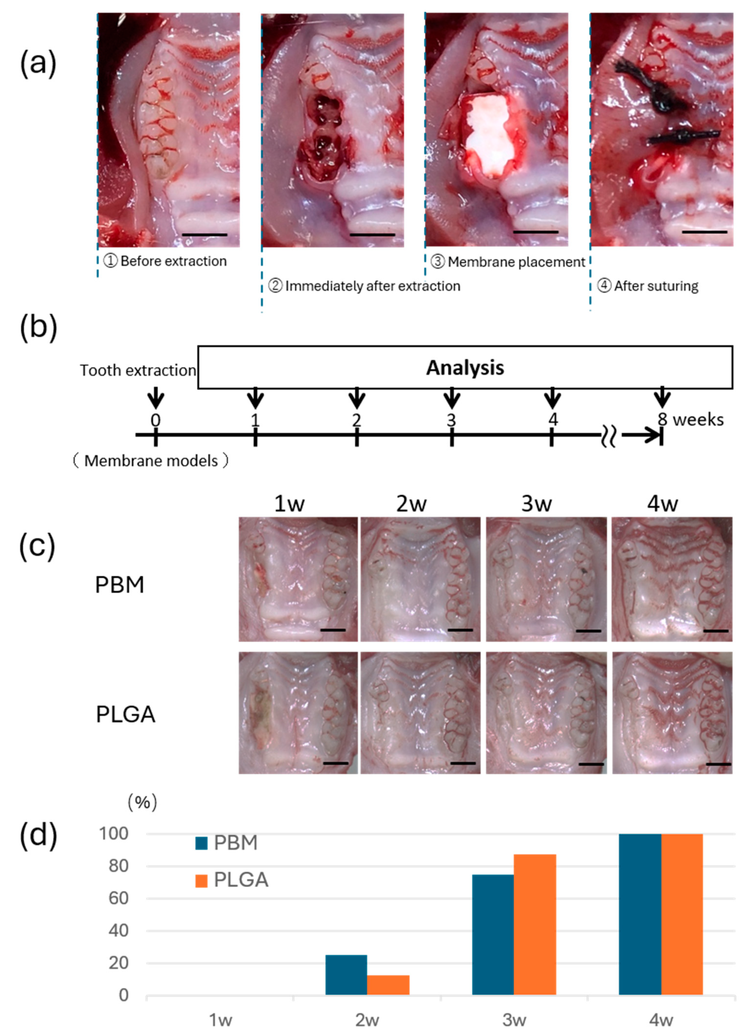 Materials 18 04956 g003 Materials 18 04956 g003