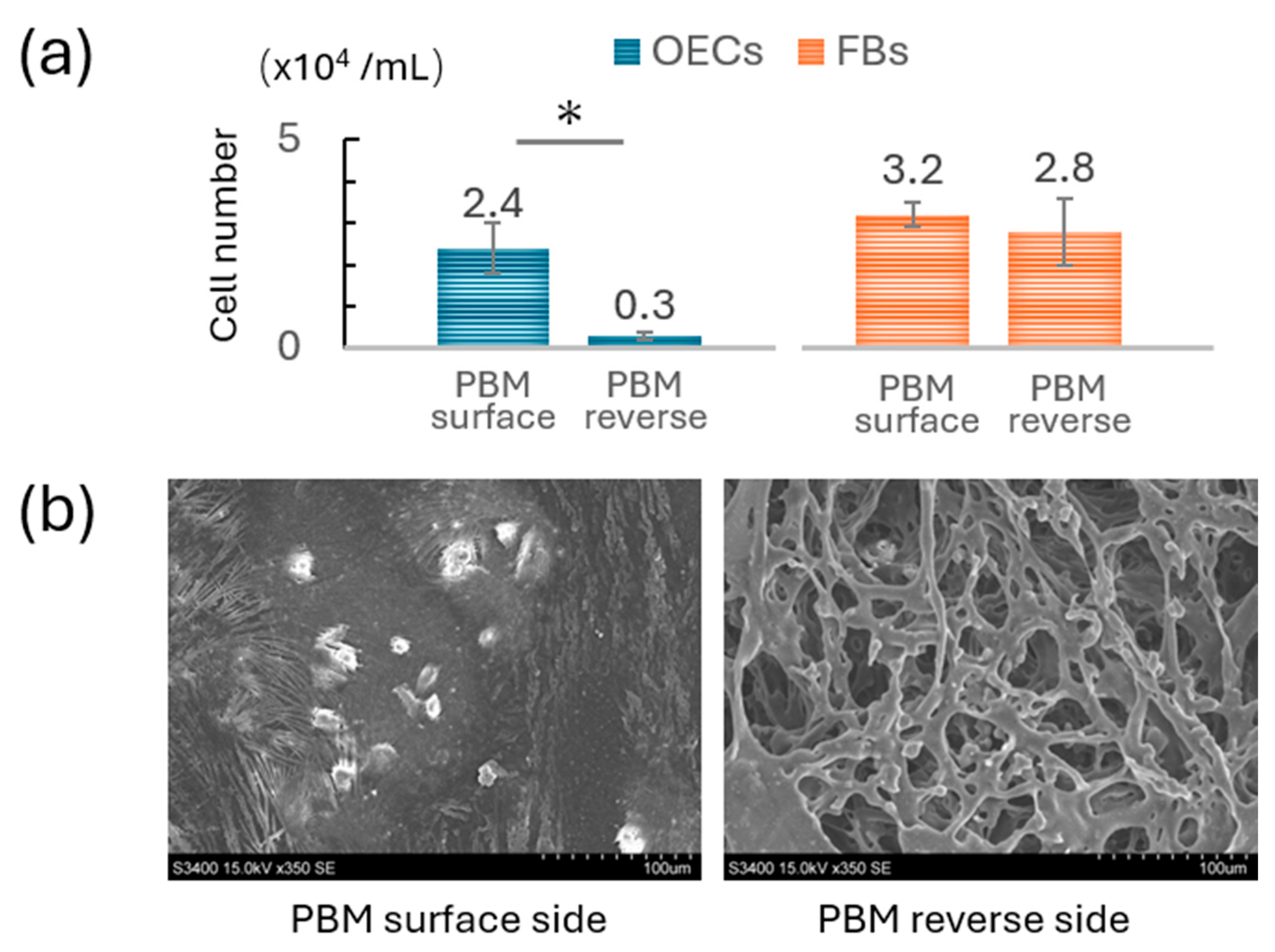 Materials 18 04956 g004 Materials 18 04956 g004