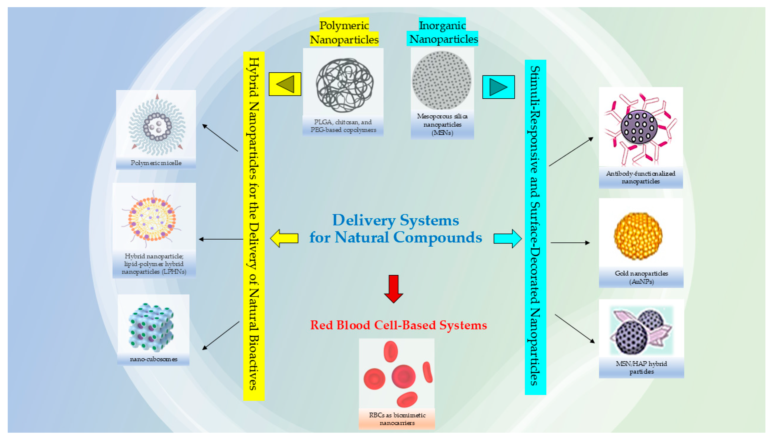 Materials 18 04960 g001 Materials 18 04960 g001