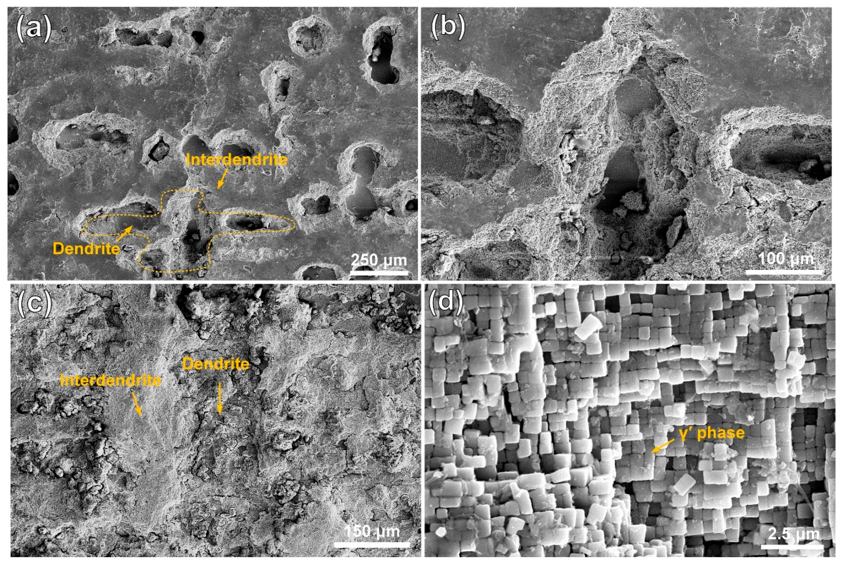 Materials 18 04967 g003