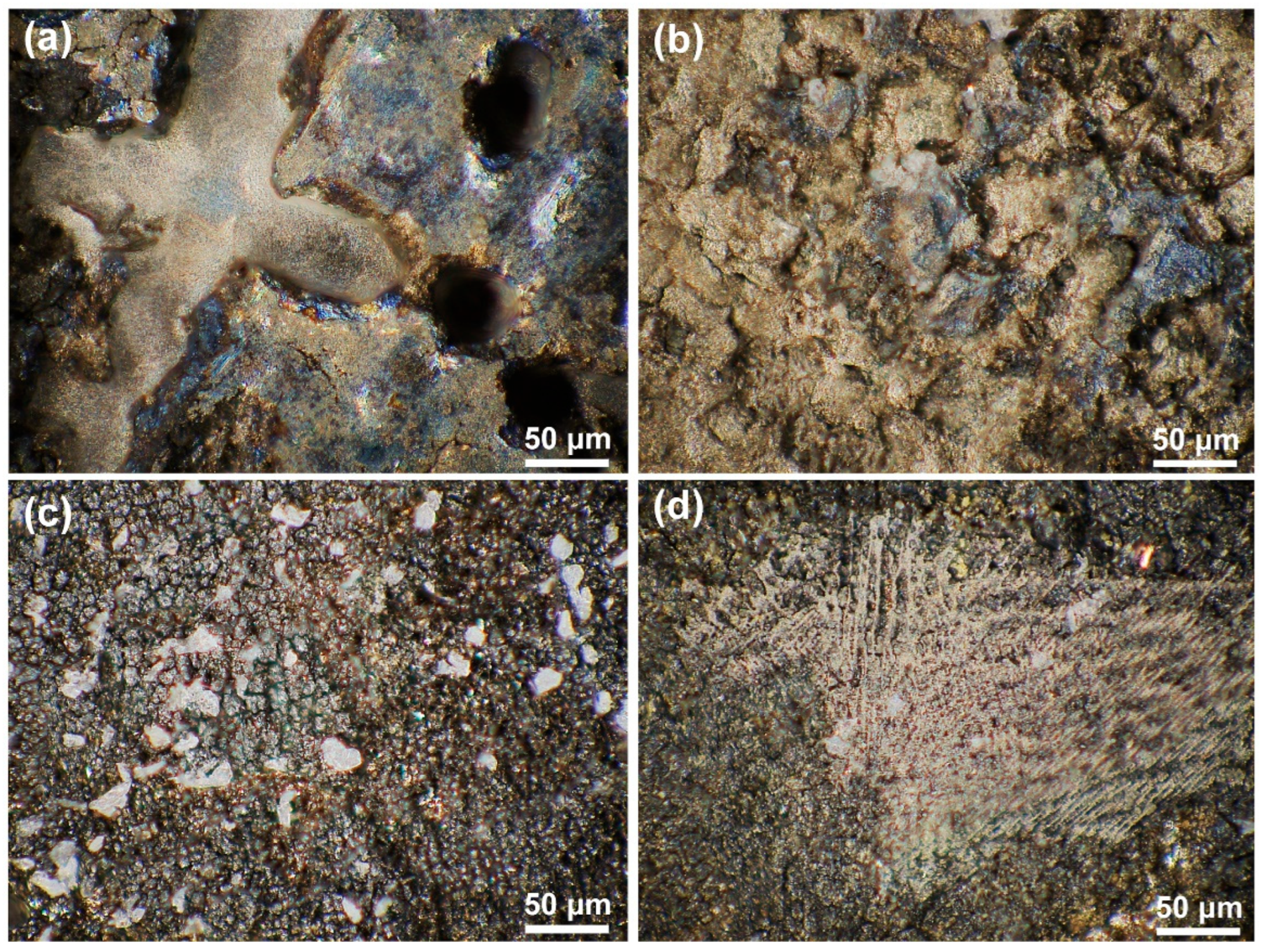 Materials 18 04967 g005