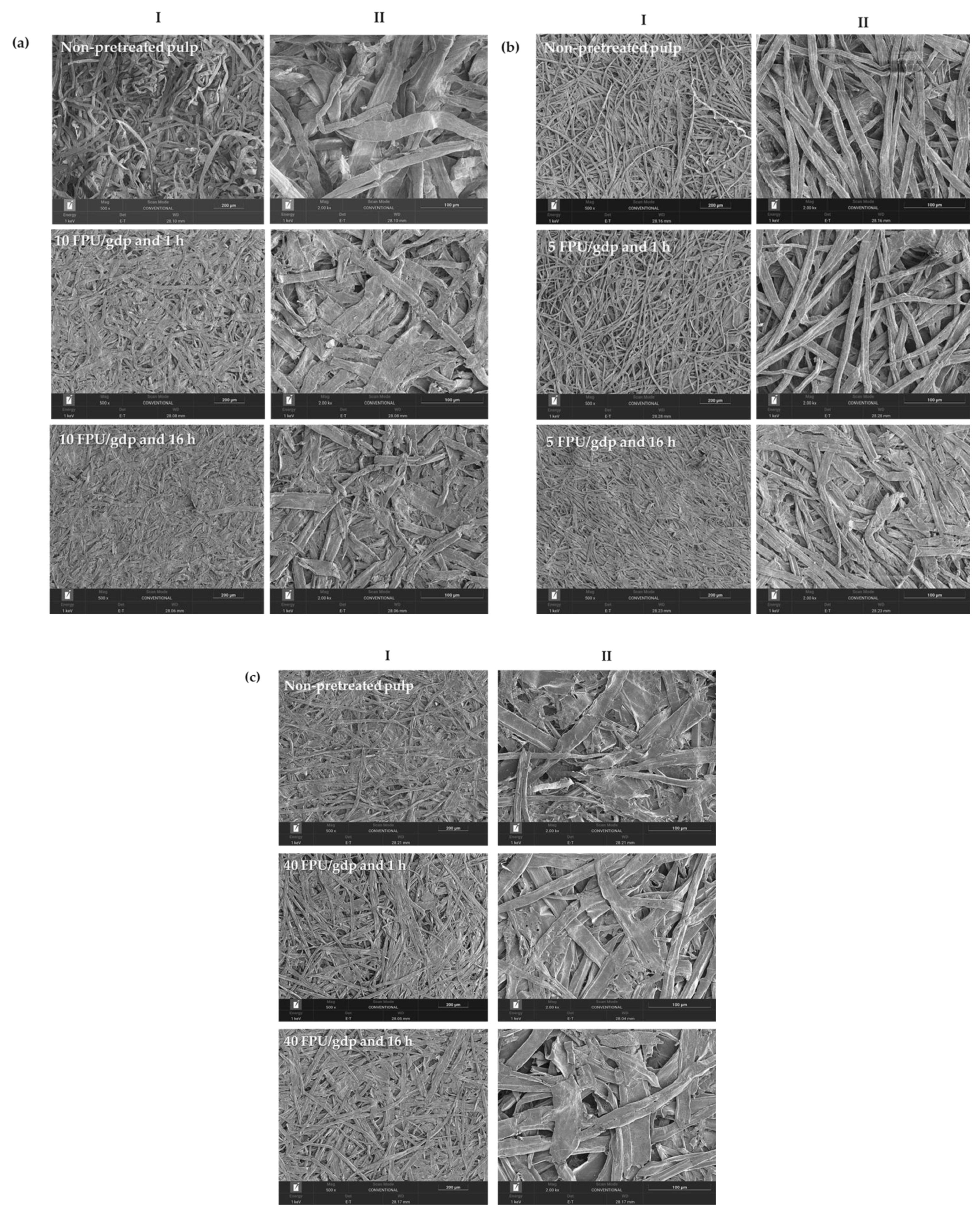 Materials 18 04968 g003 Materials 18 04968 g003