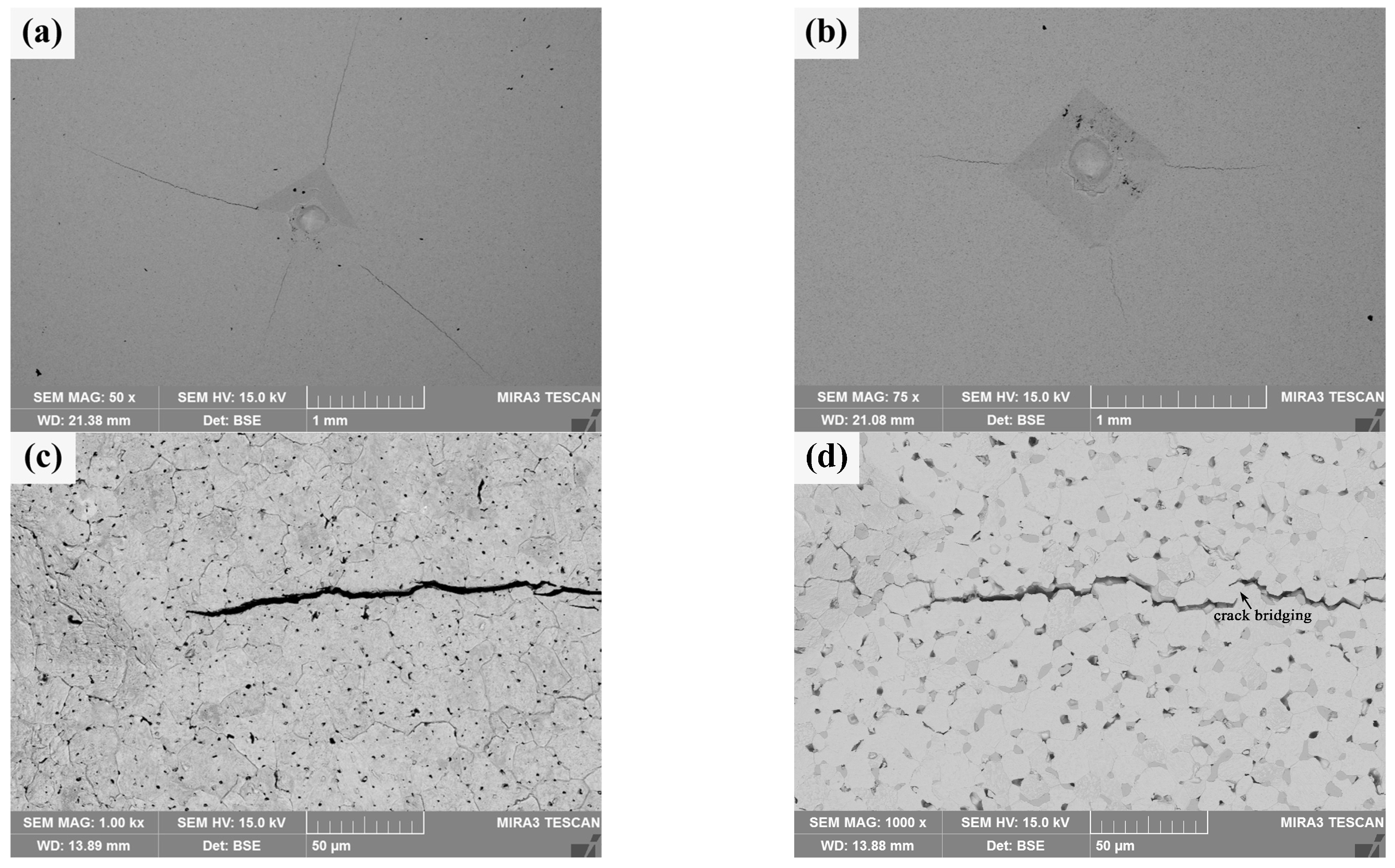 Materials 18 04973 g010