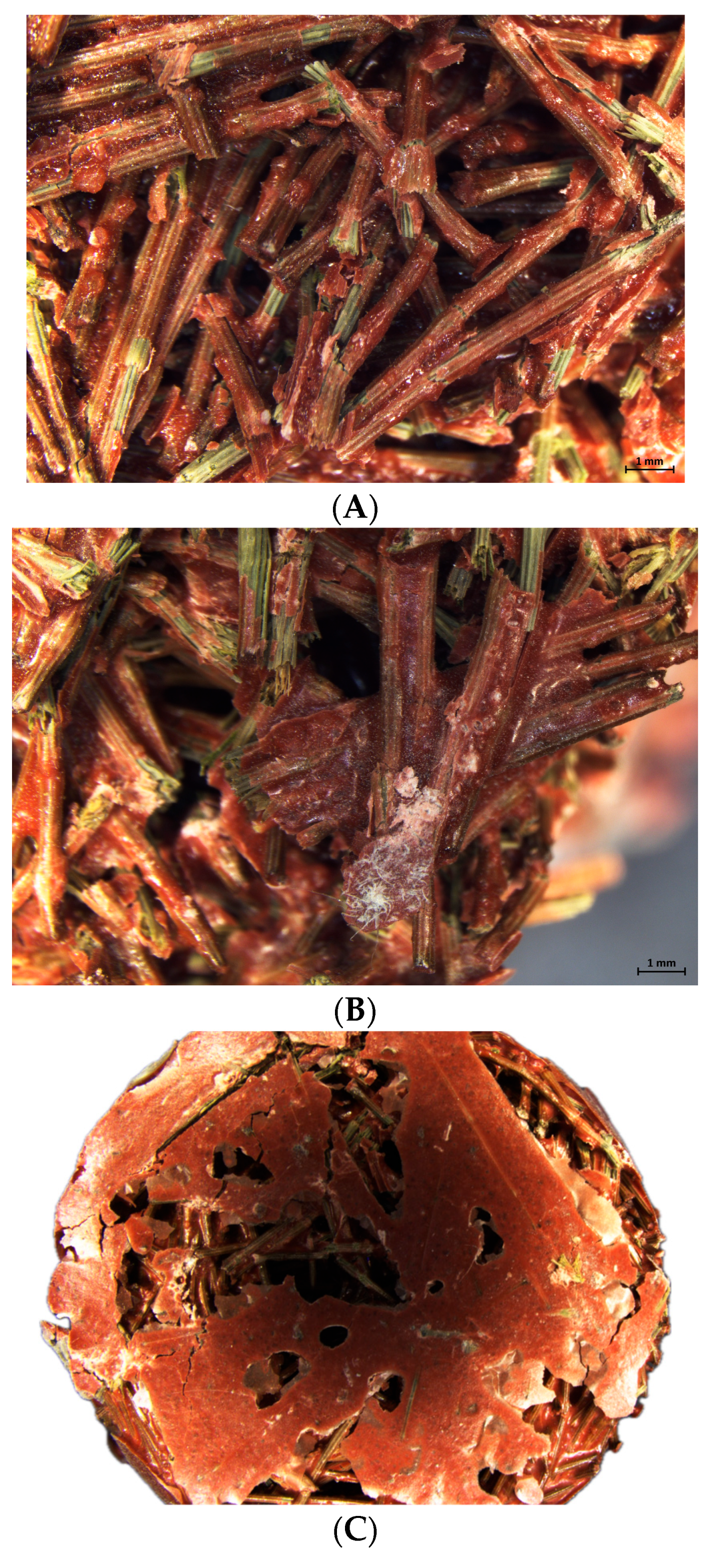 Materials 18 04978 g003
