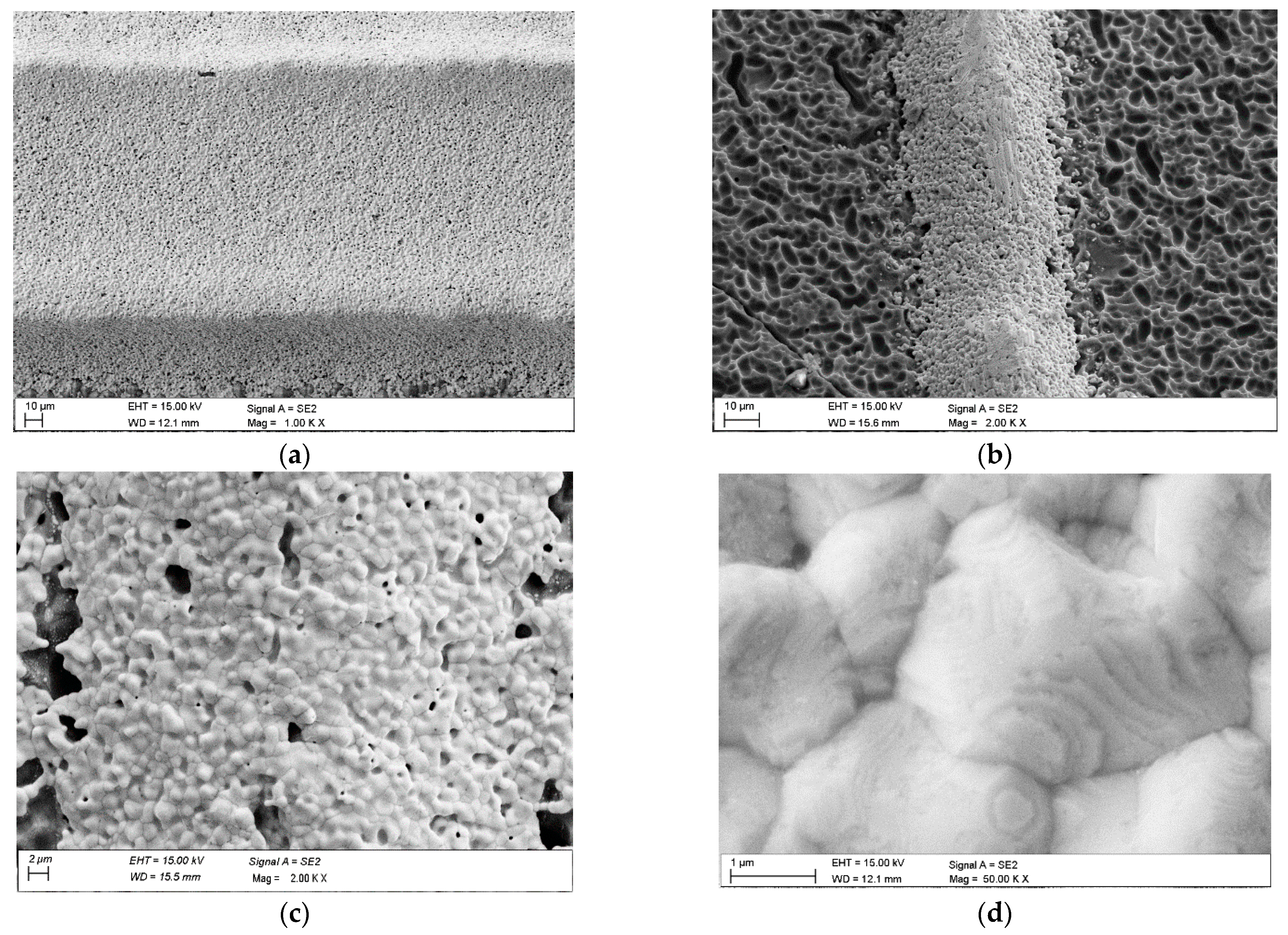 Materials 18 04979 g006 Materials 18 04979 g006