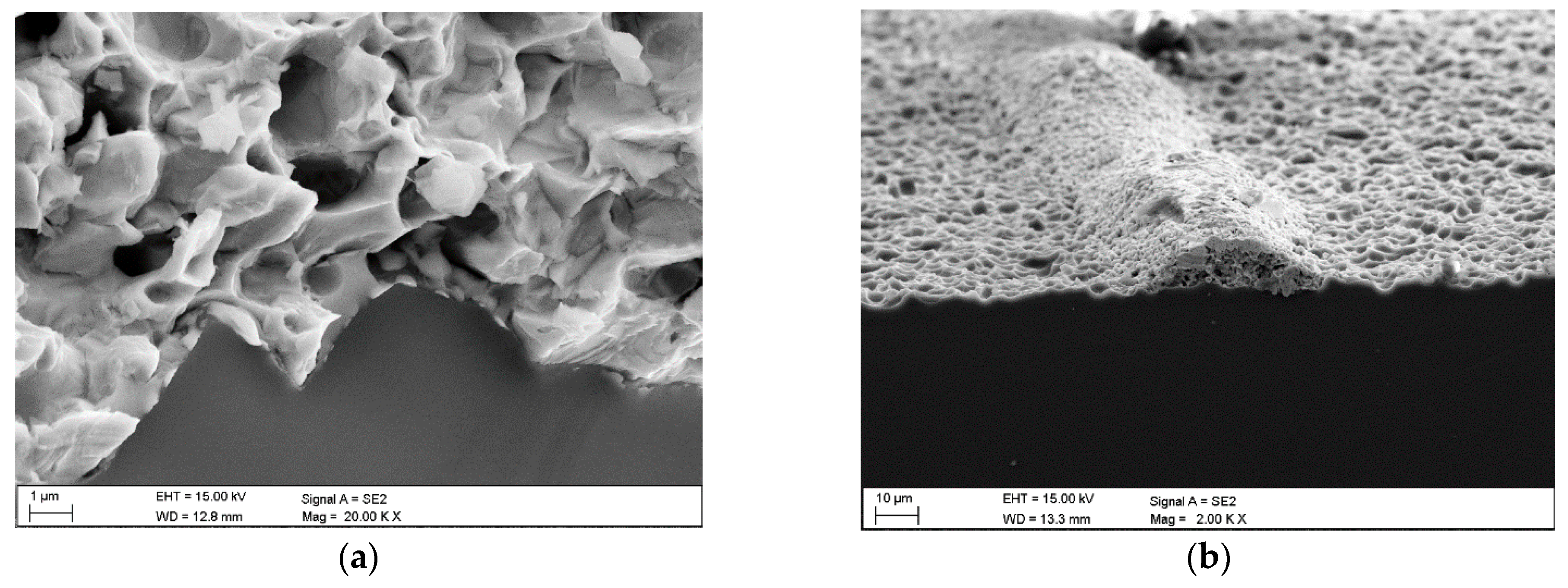 Materials 18 04979 g007a Materials 18 04979 g007a