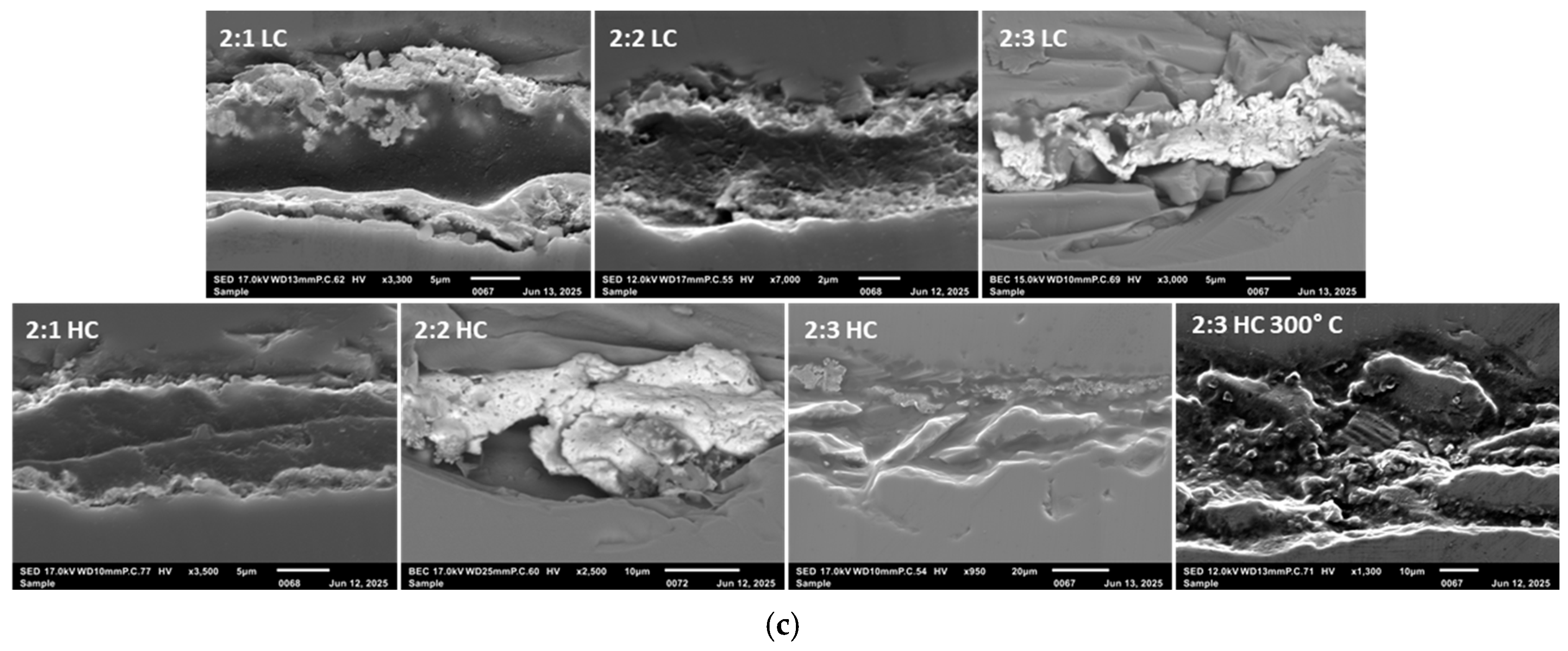 Materials 18 04981 g005b