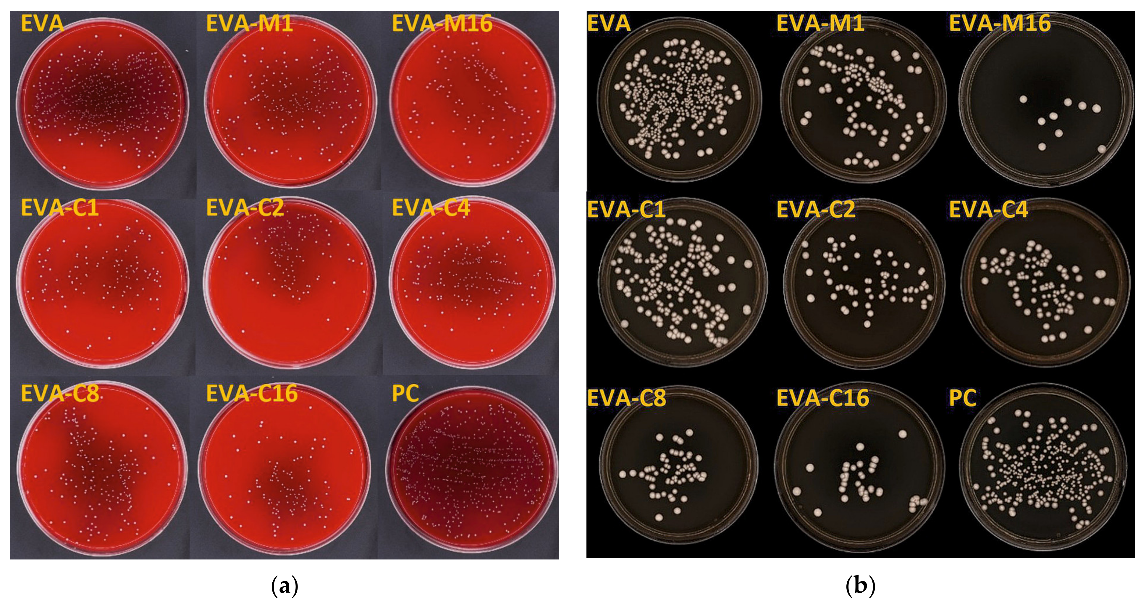 Materials 18 04993 g004