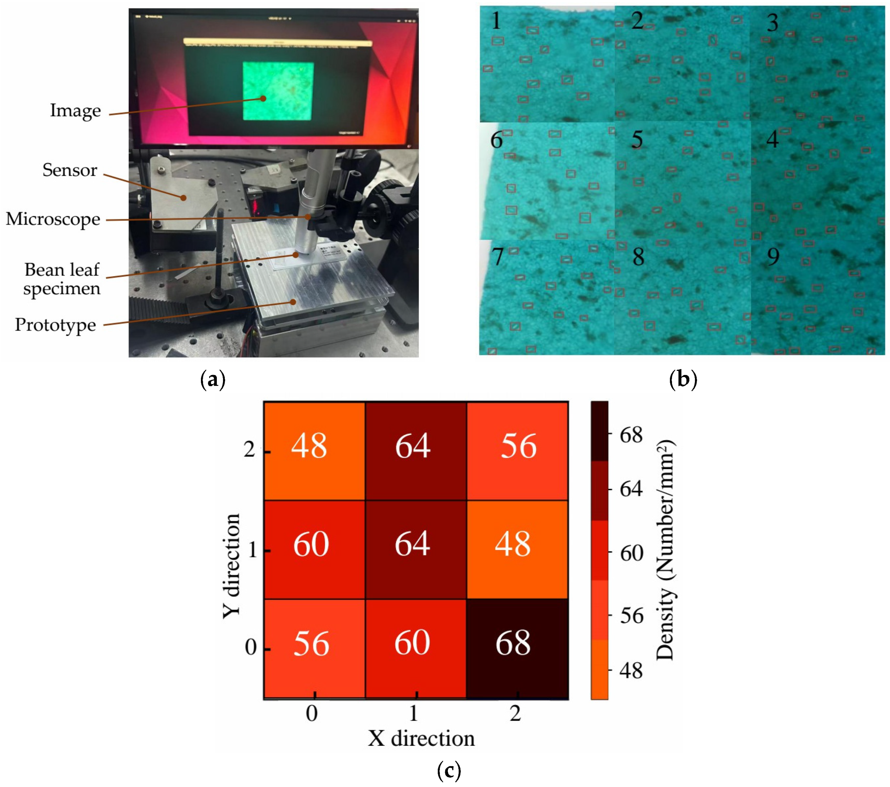 Materials 18 04995 g013 Materials 18 04995 g013