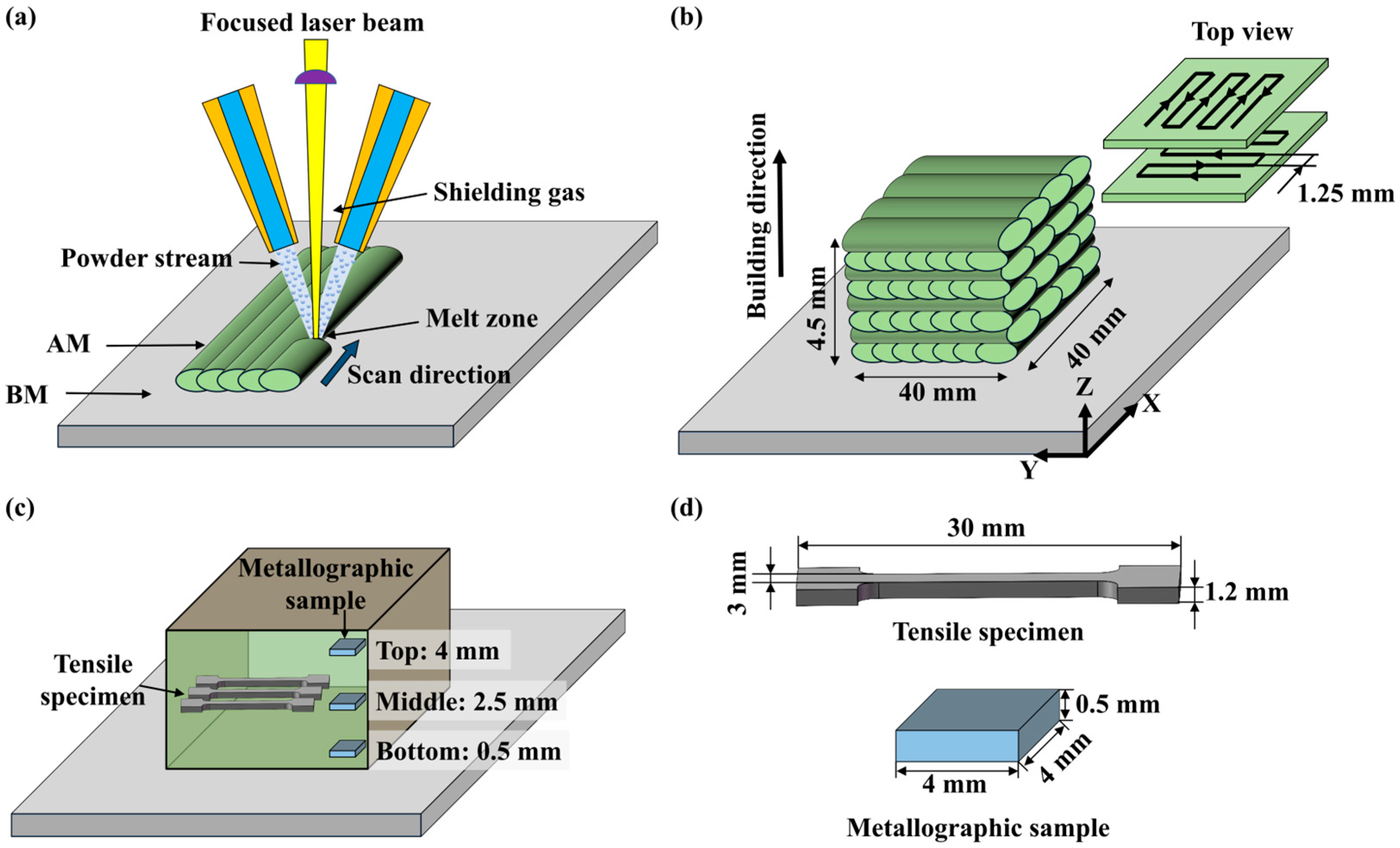 Materials 18 04997 g001 Materials 18 04997 g001