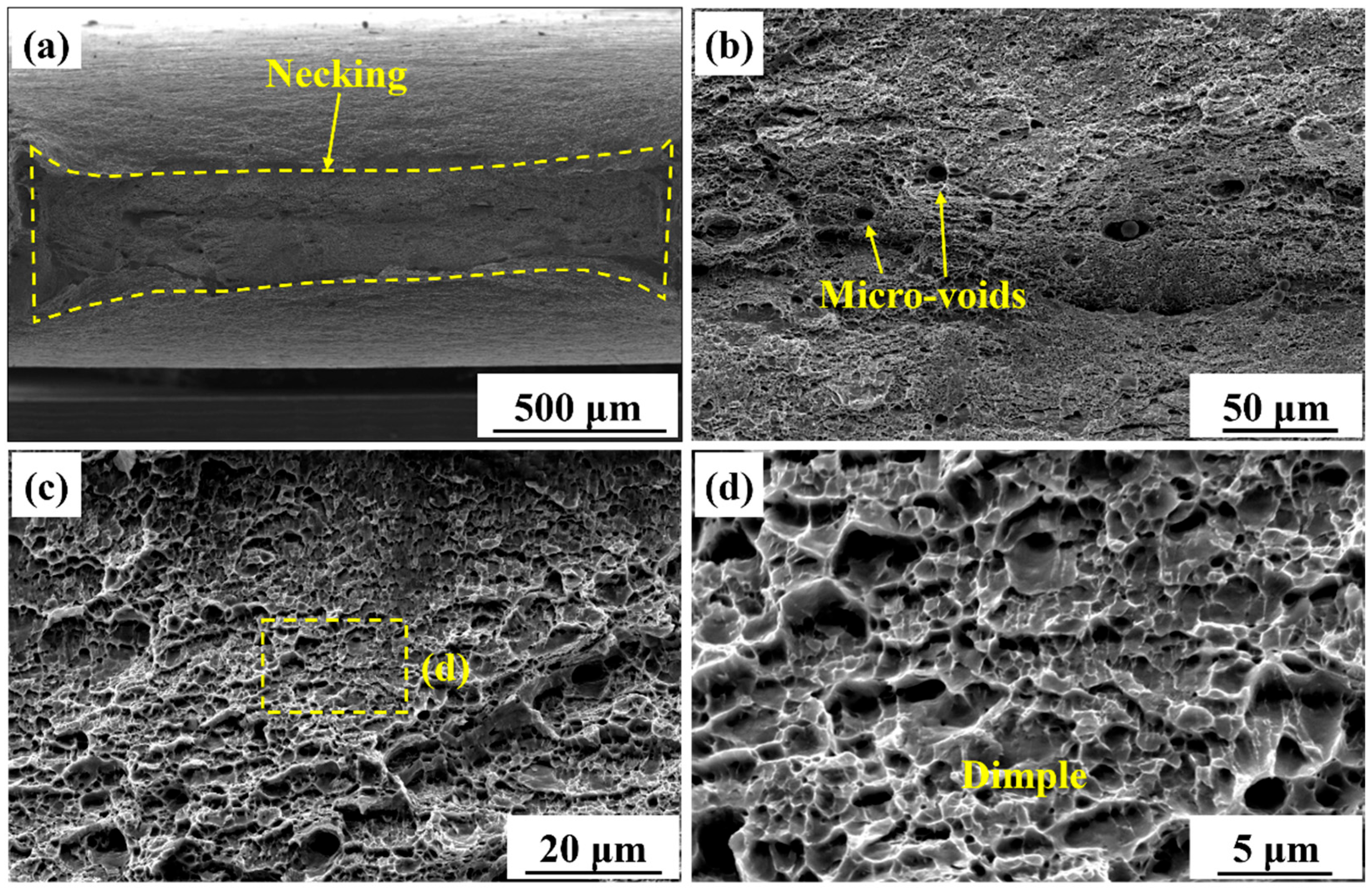 Materials 18 04997 g011 Materials 18 04997 g011