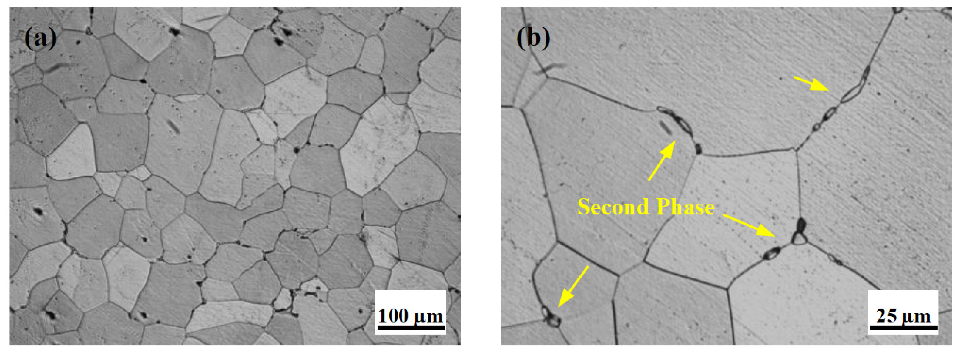 Materials 18 05001 g005 Materials 18 05001 g005