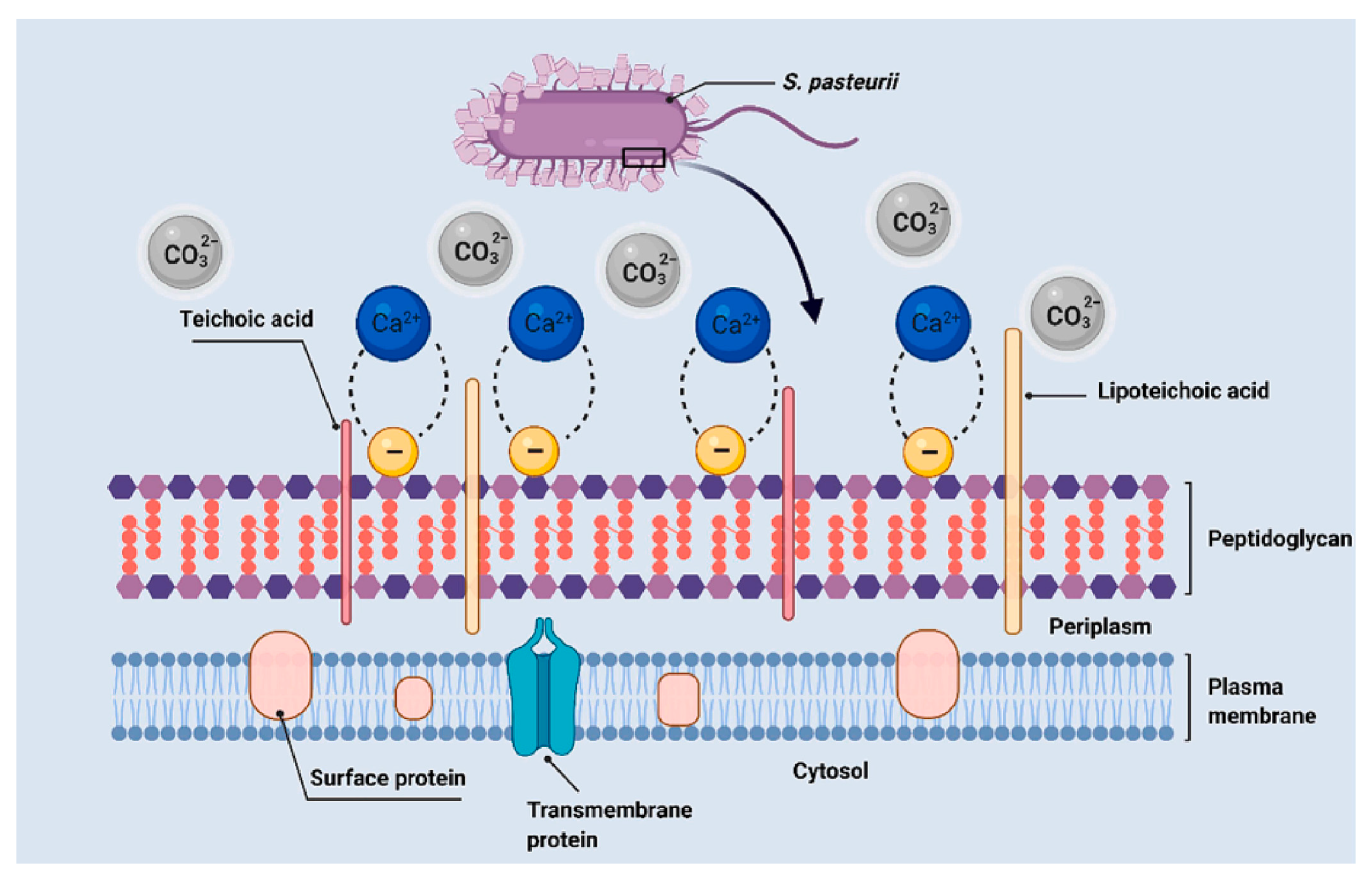 Materials 18 05004 g003
