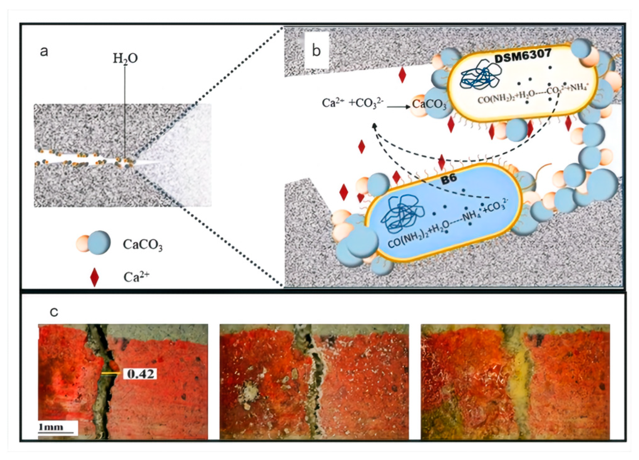 Materials 18 05004 g004