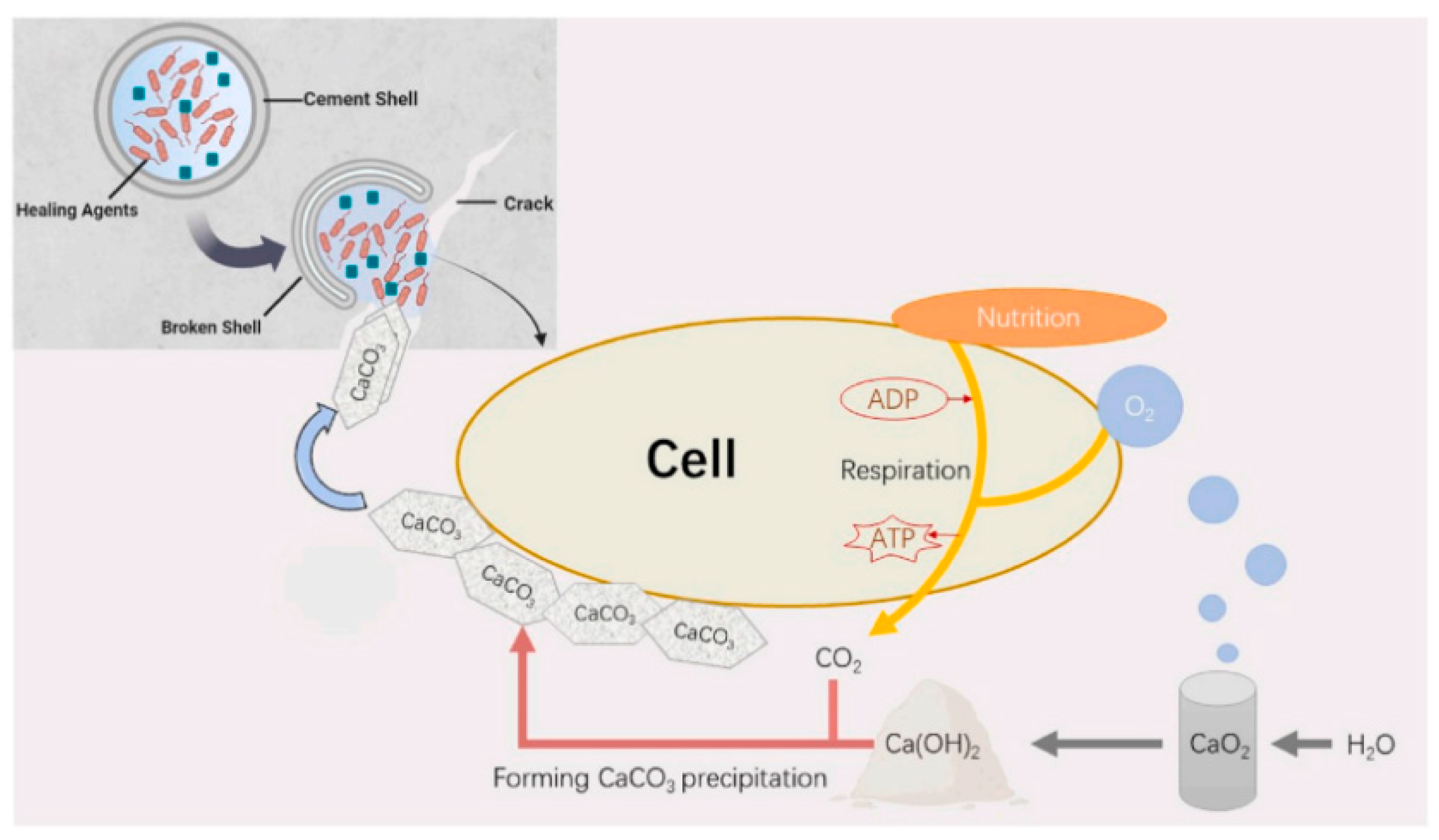 Materials 18 05004 g008