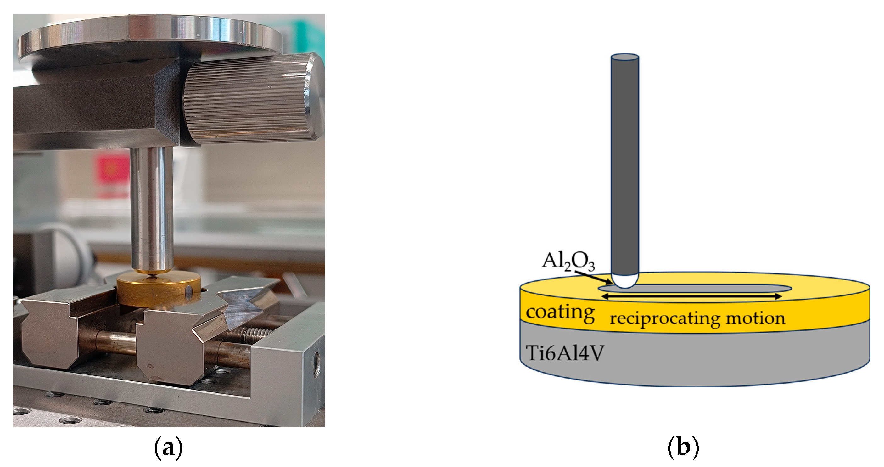 Materials 18 05010 g001 Materials 18 05010 g001