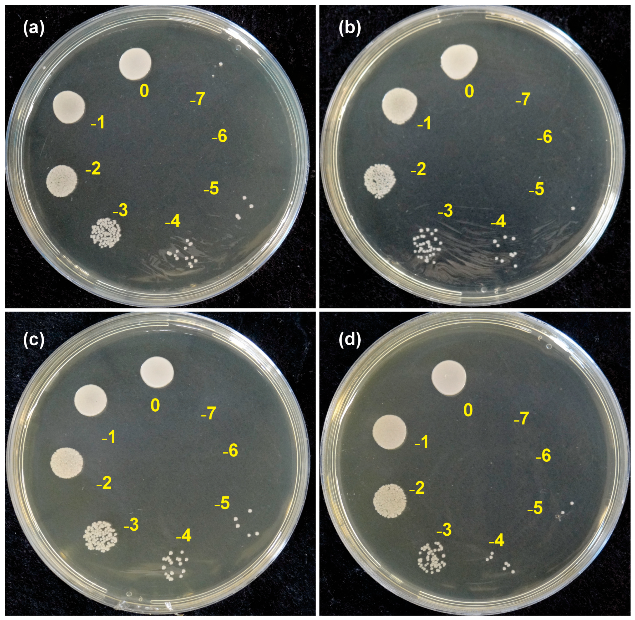 Materials 18 05018 g003 Materials 18 05018 g003