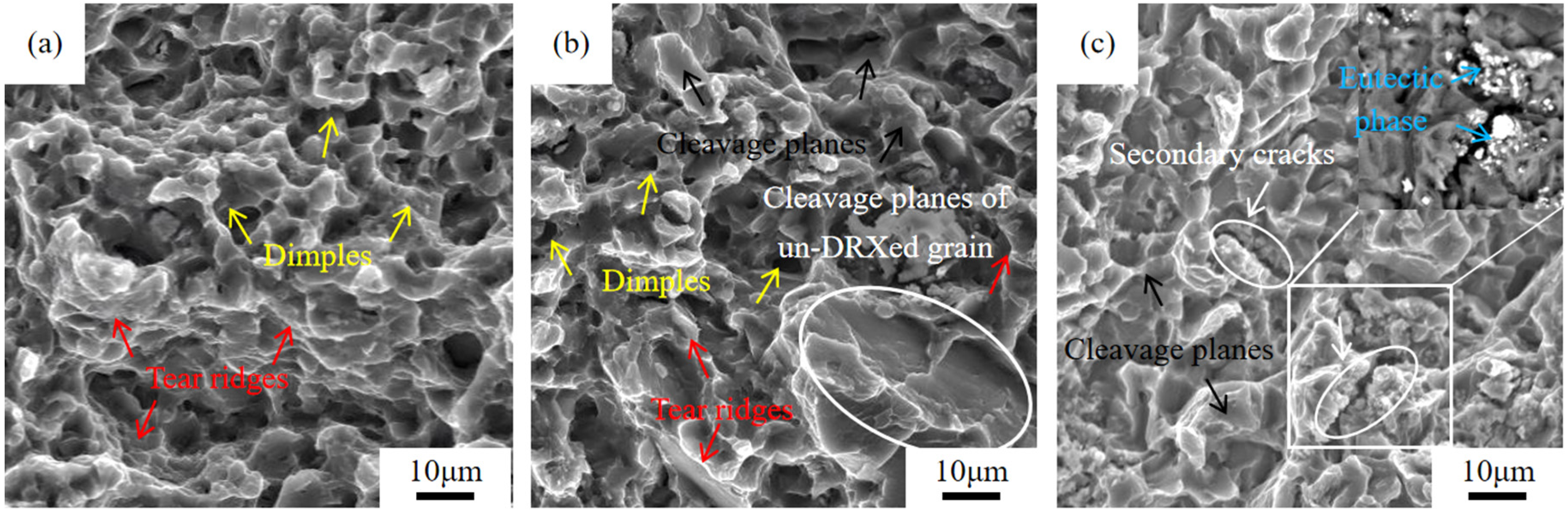 Materials 18 05023 g011 Materials 18 05023 g011