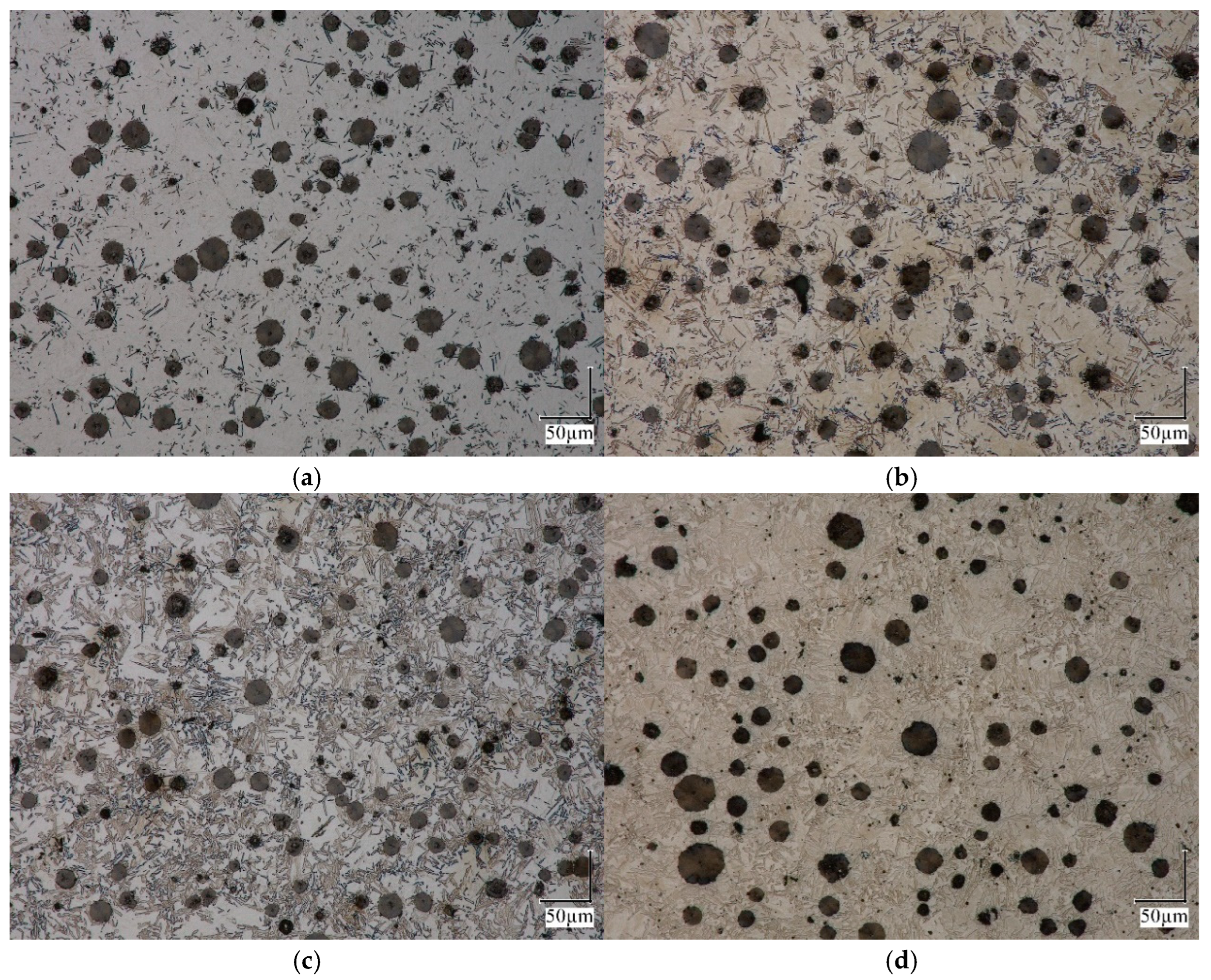 Materials 18 05039 g006