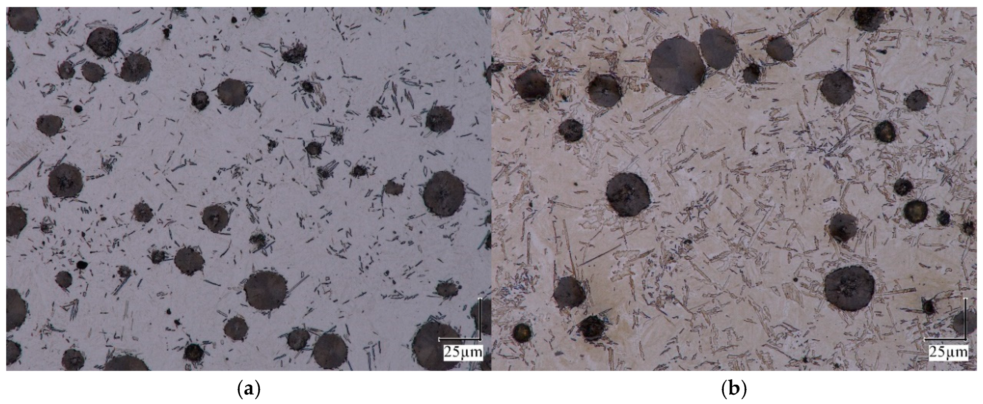 Materials 18 05039 g007a