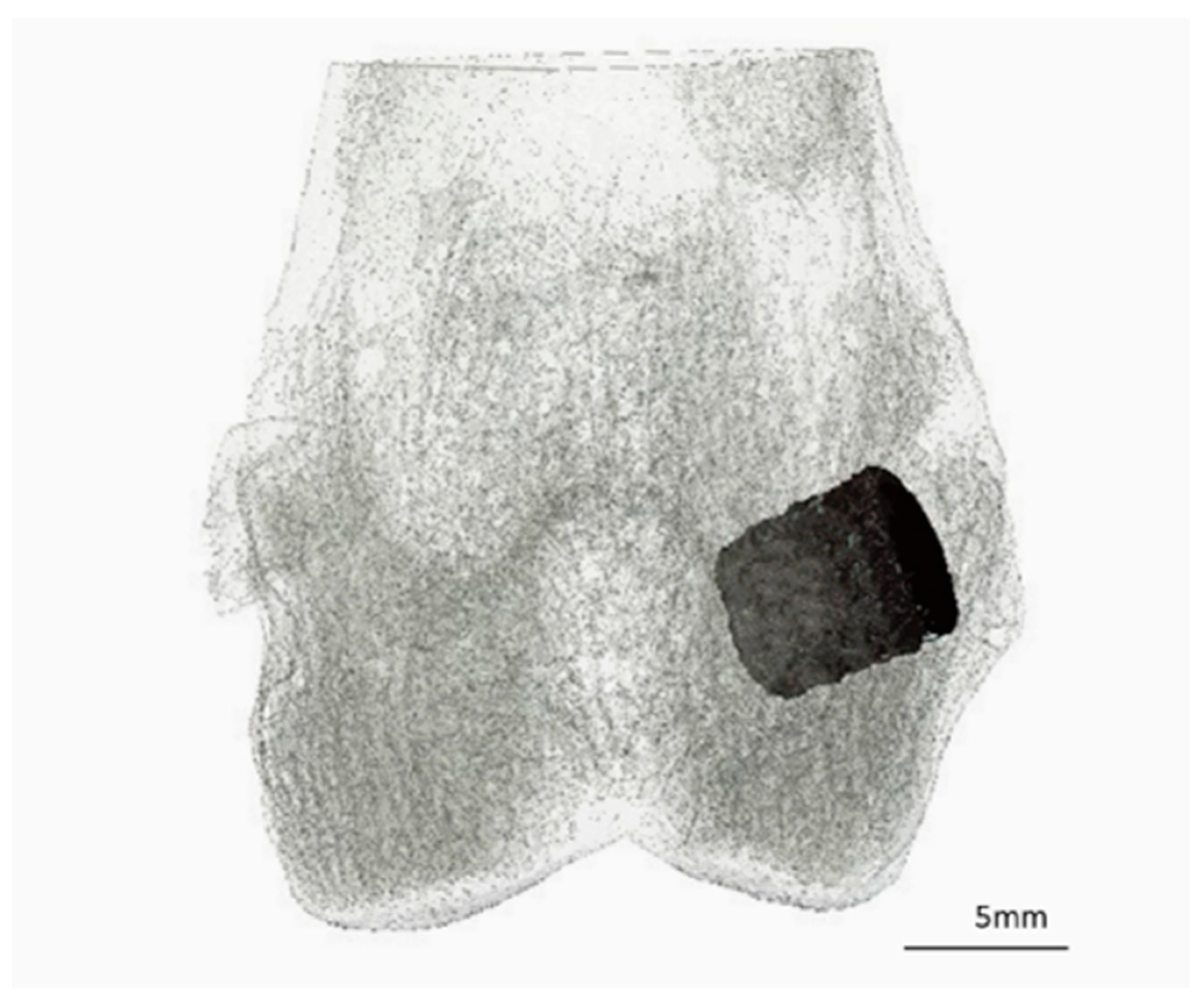 Materials 18 05067 g002