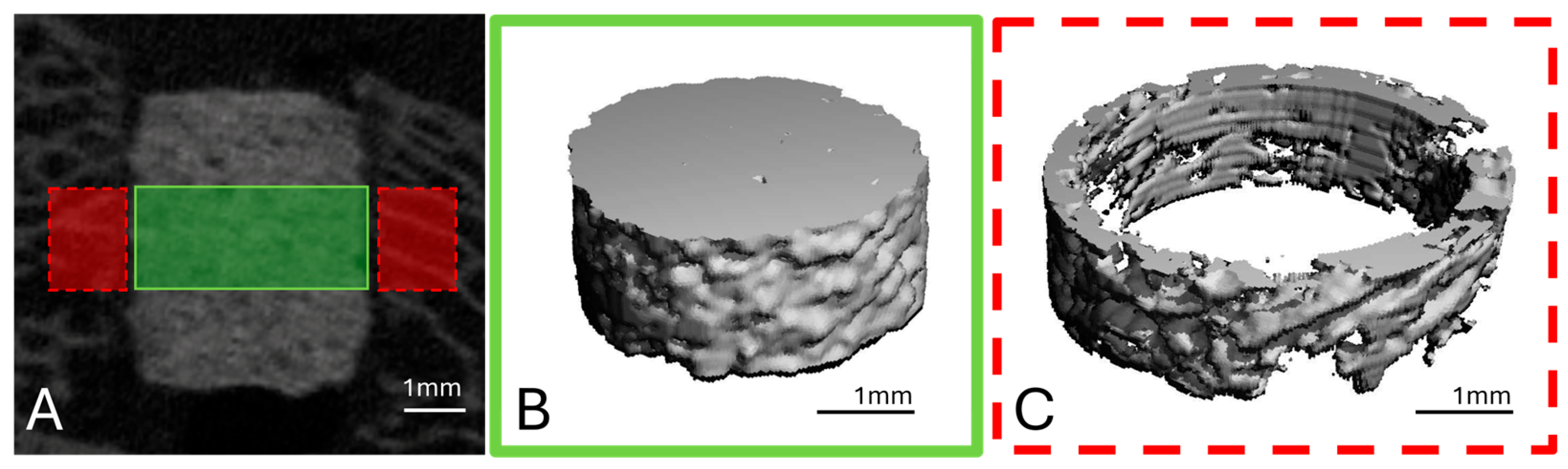 Materials 18 05067 g003