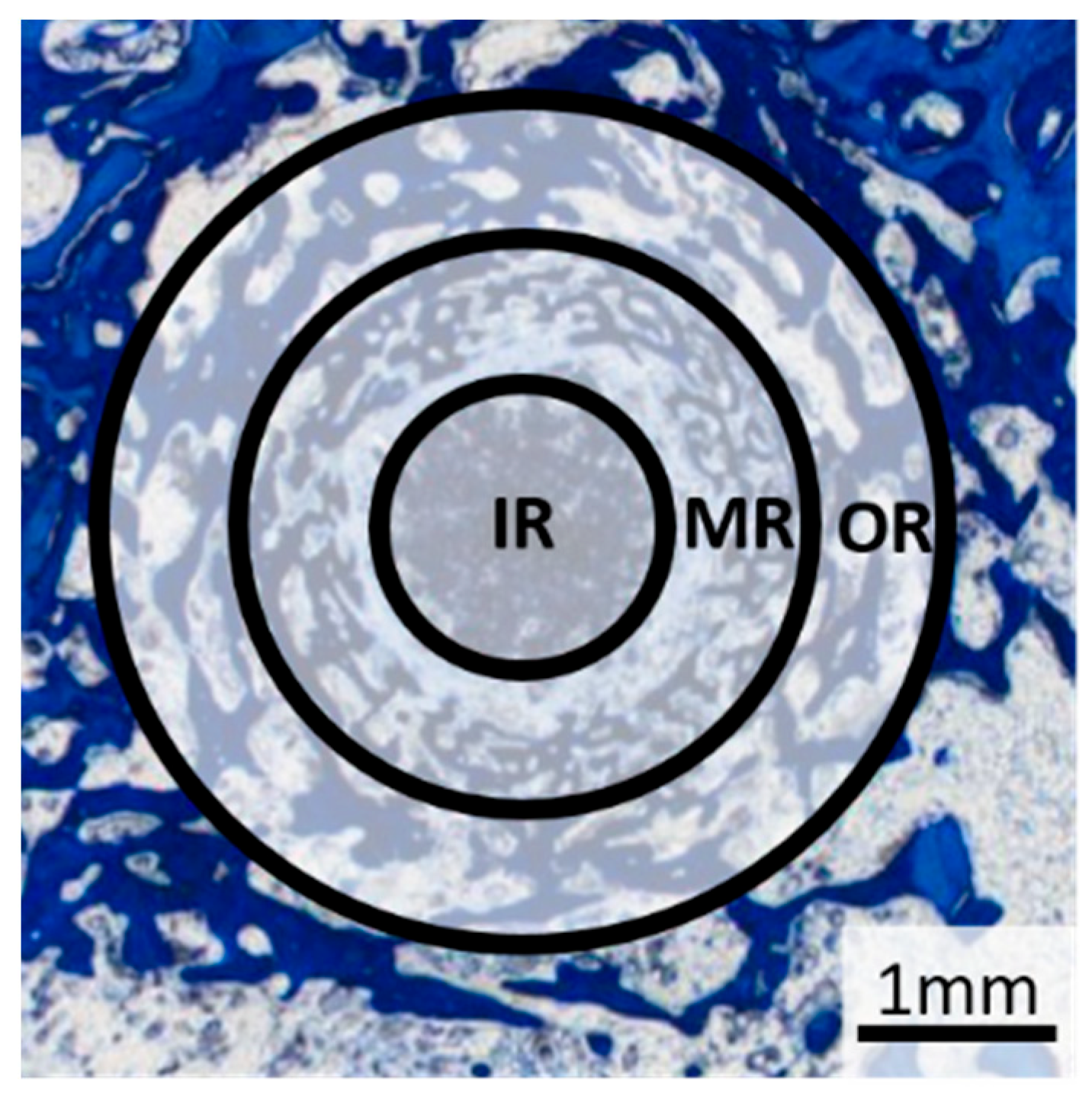 Materials 18 05067 g004