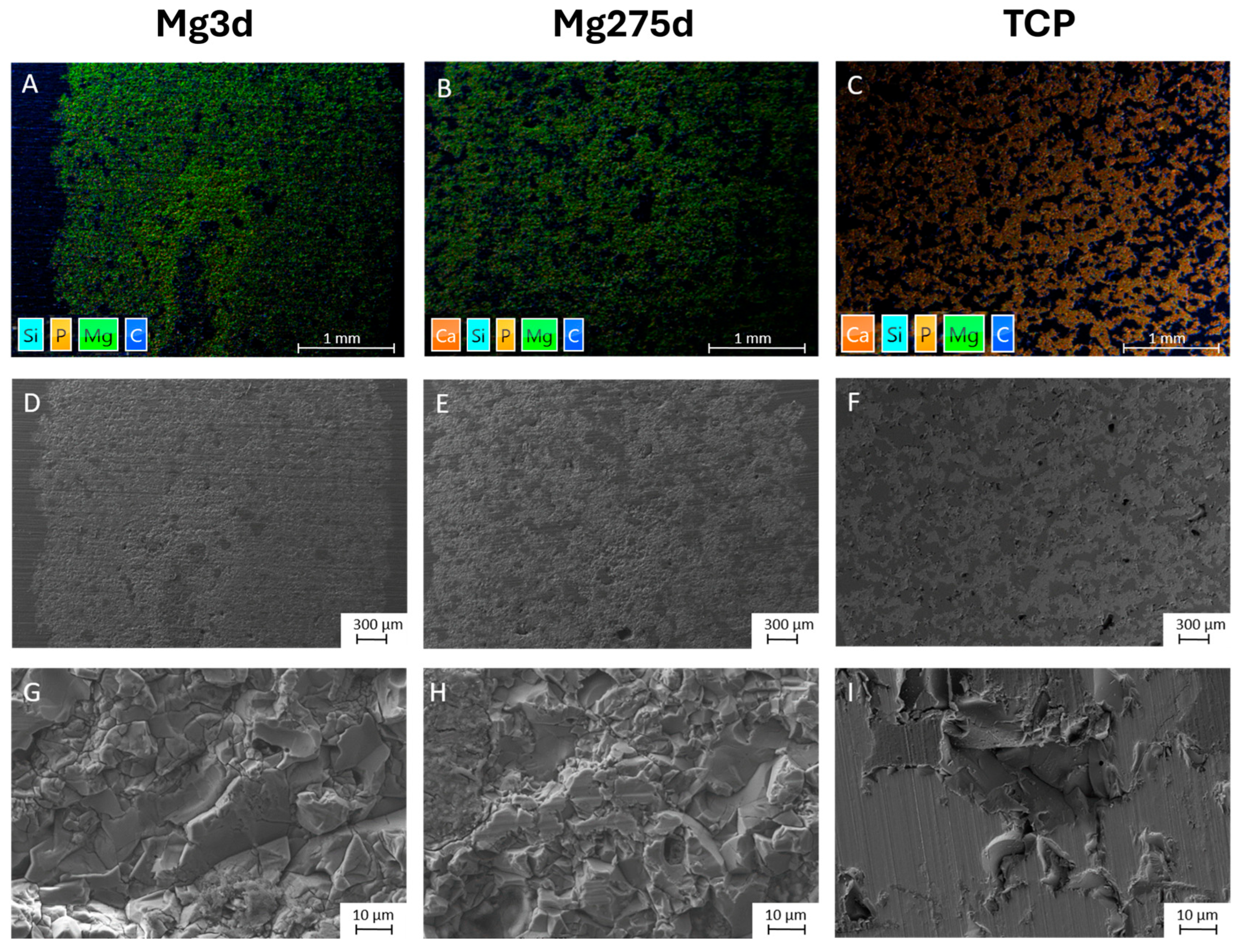 Materials 18 05067 g005