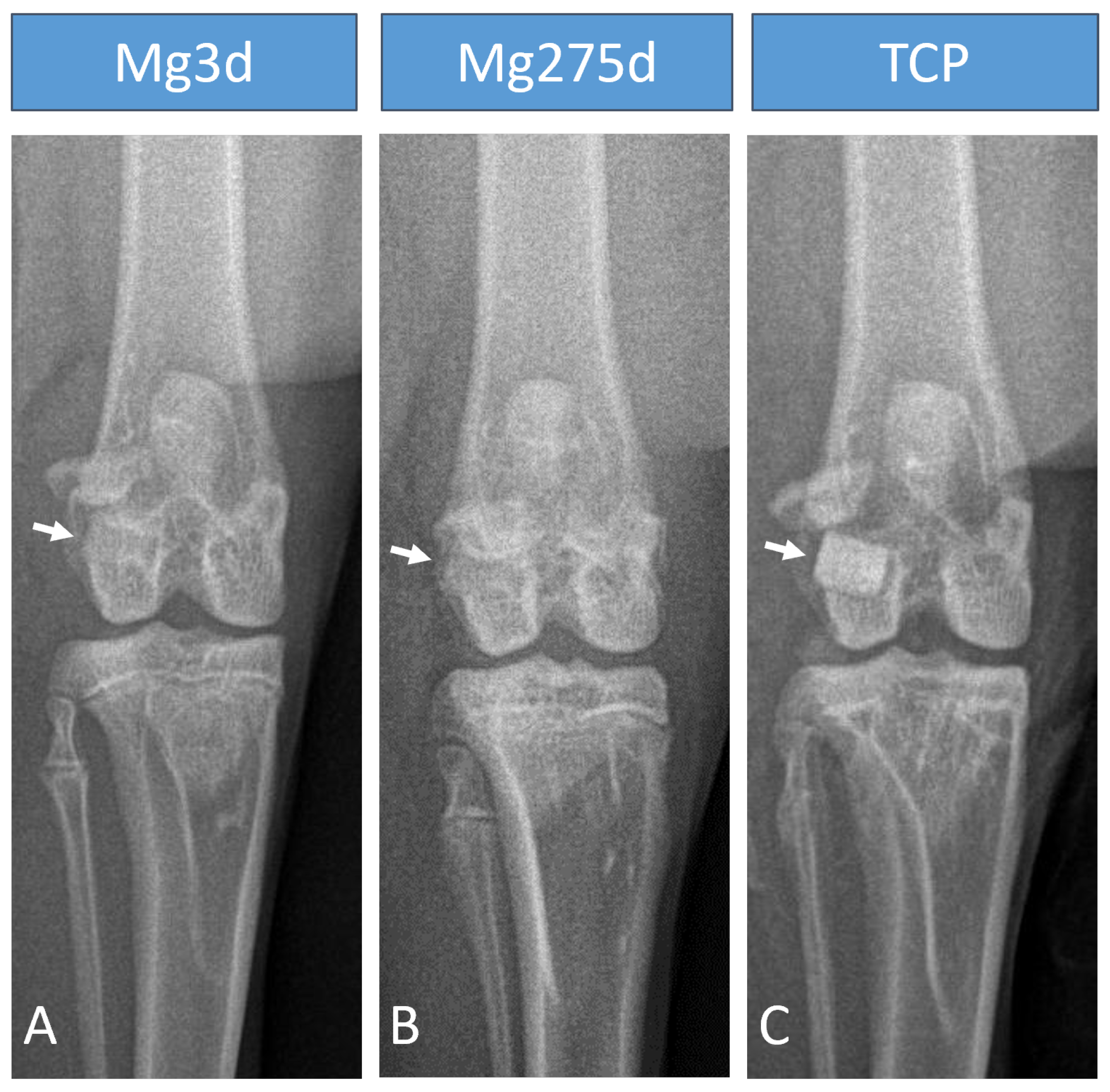 Materials 18 05067 g006