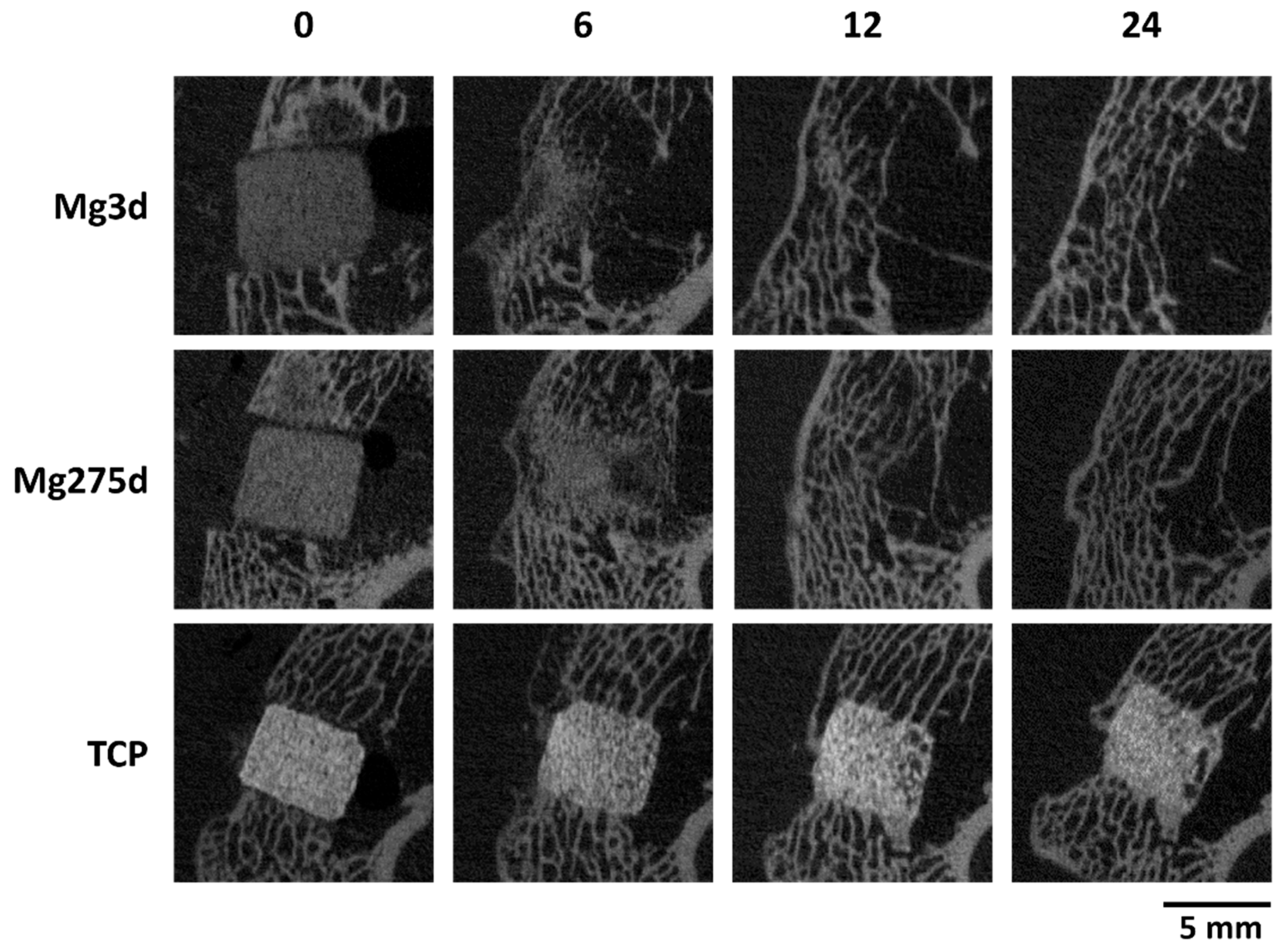 Materials 18 05067 g009
