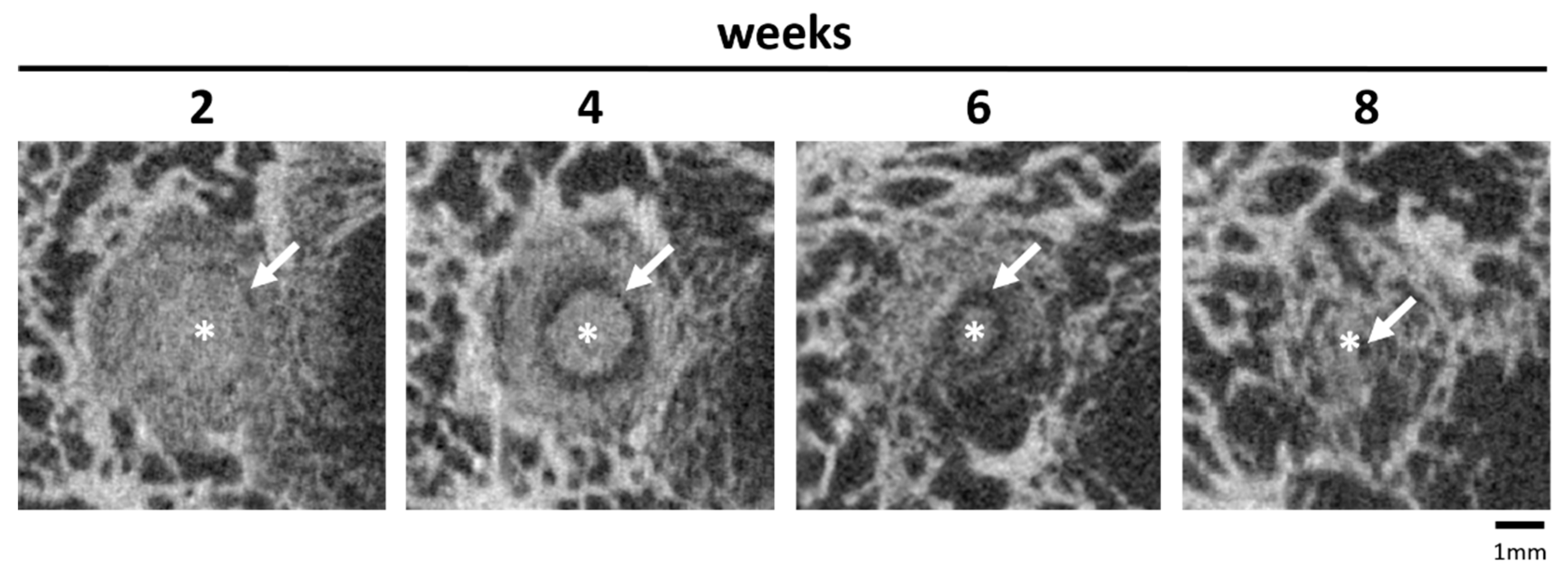 Materials 18 05067 g010
