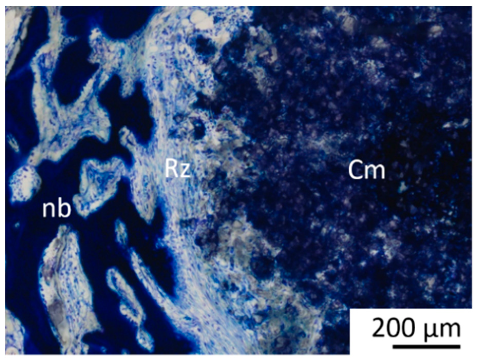 Materials 18 05067 g015