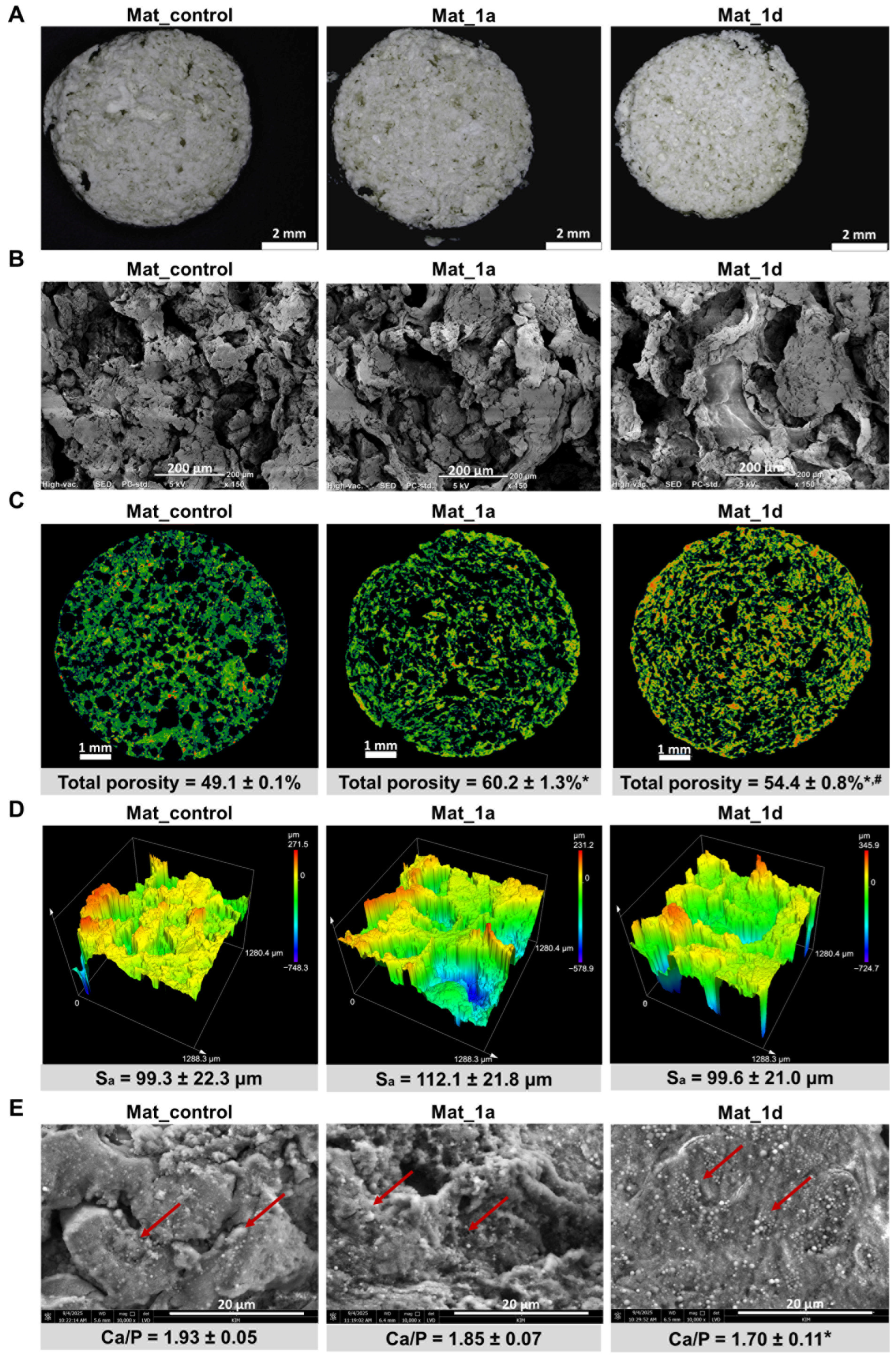 Materials 18 05074 g002