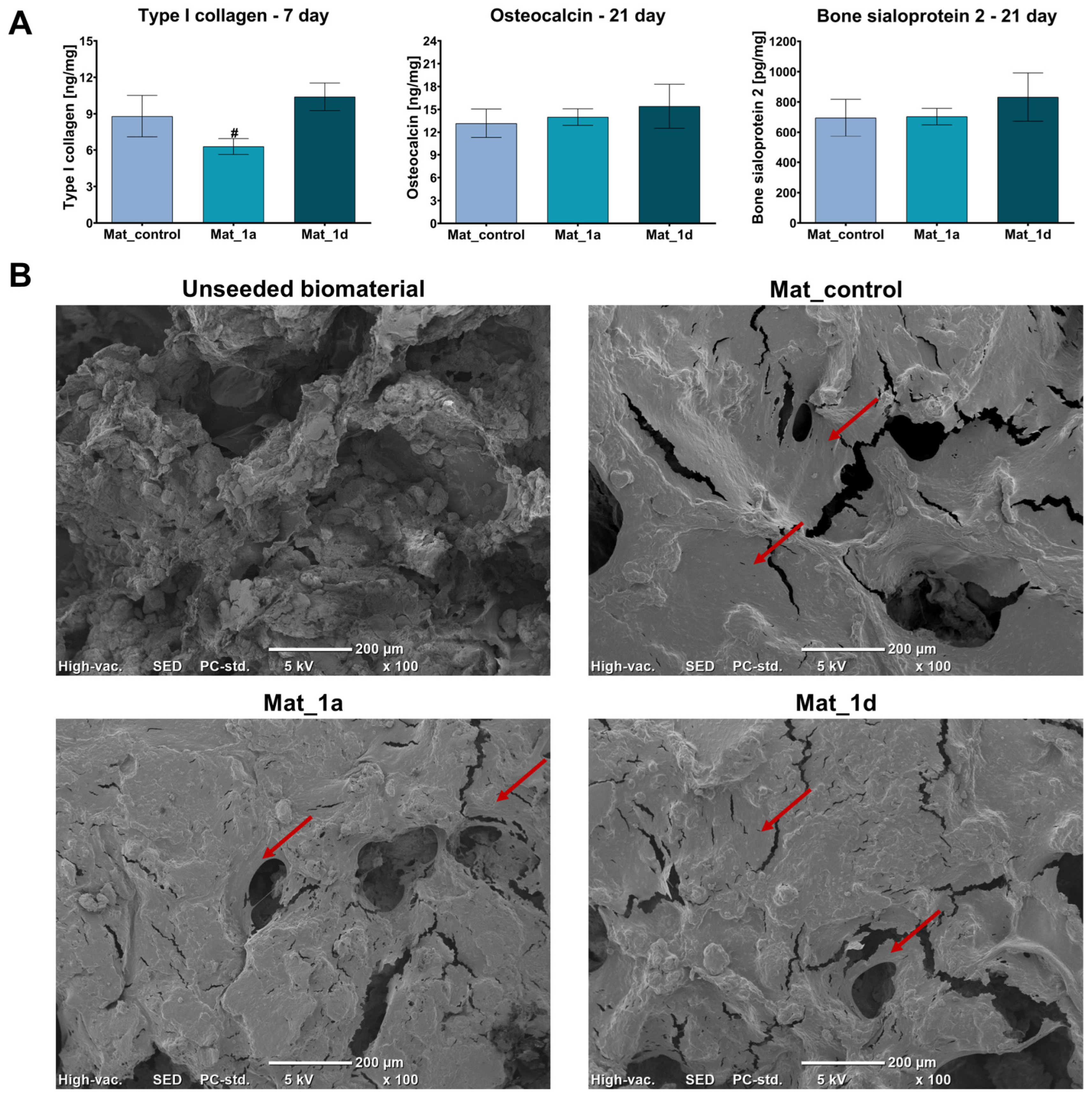 Materials 18 05074 g004