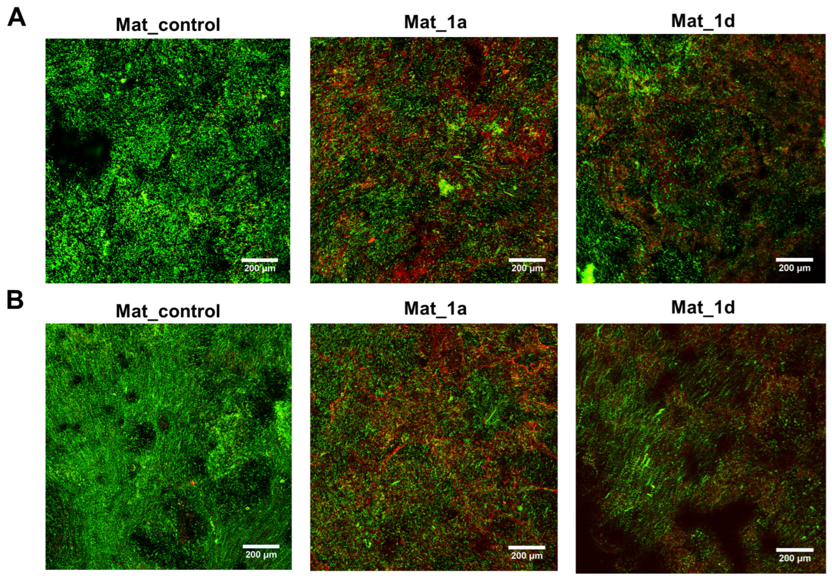 Materials 18 05074 g006