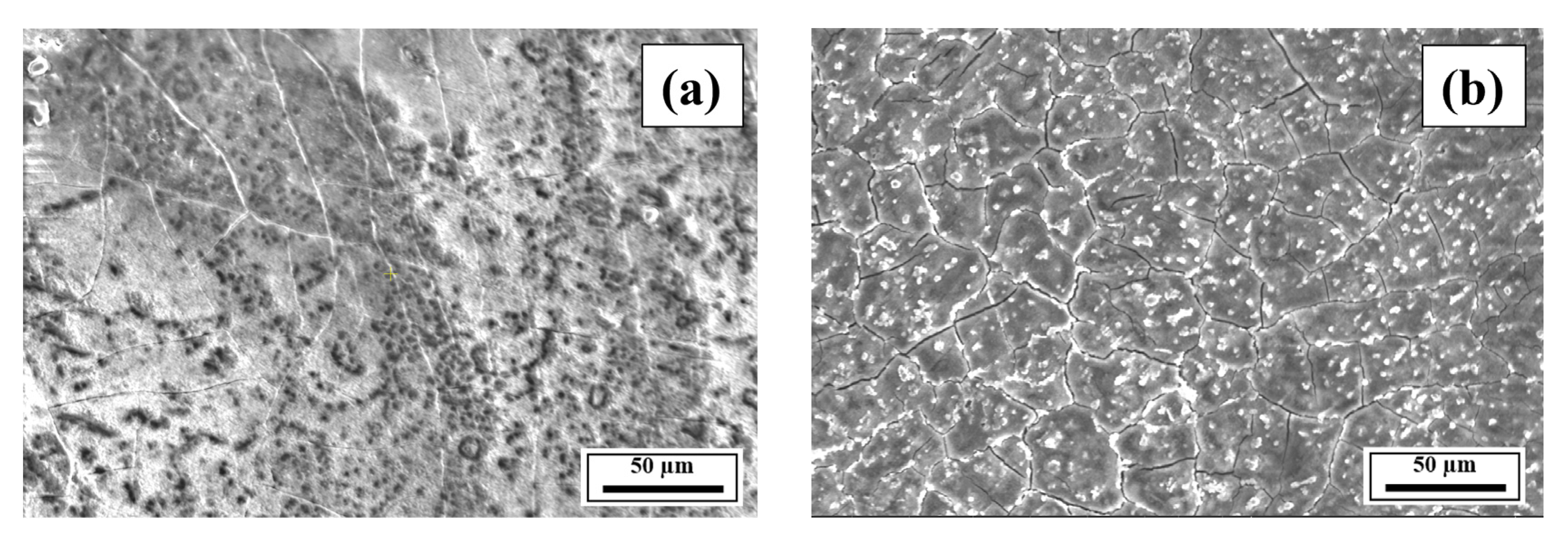 Materials 18 05089 g008a