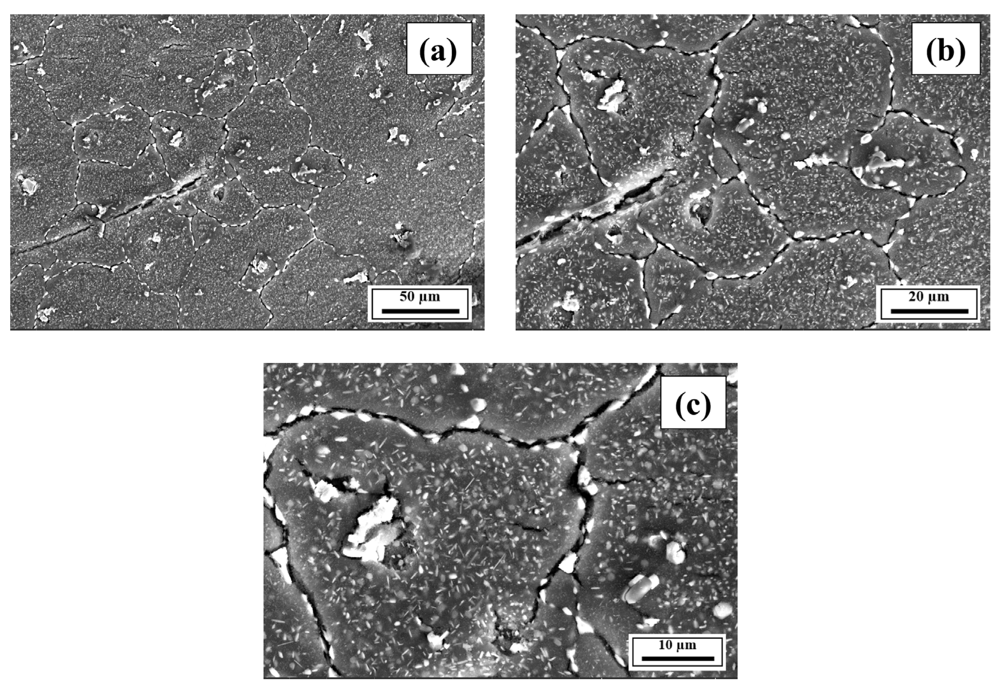 Materials 18 05089 g0a14