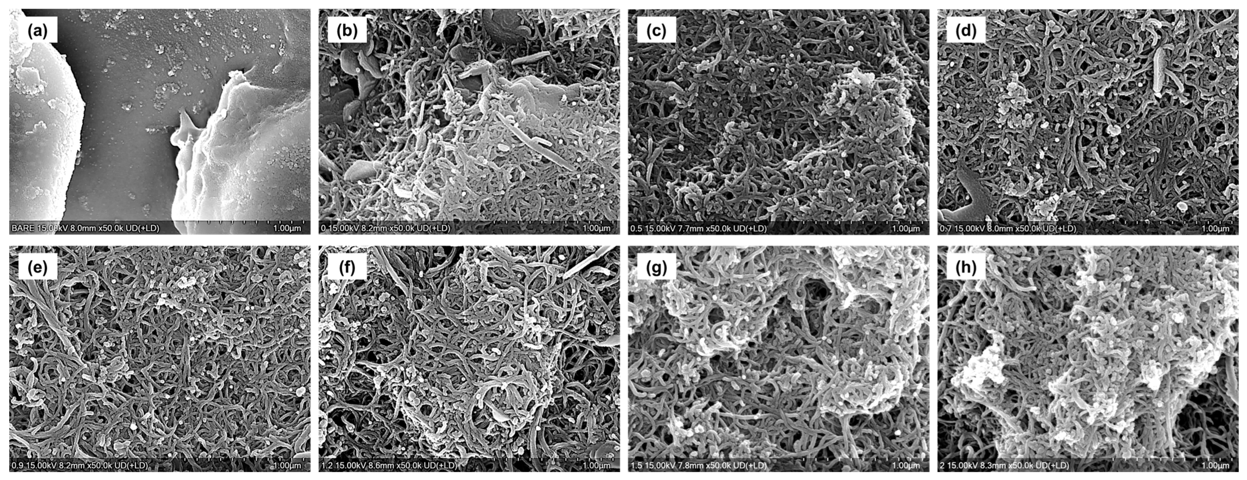 Materials 18 05092 g004