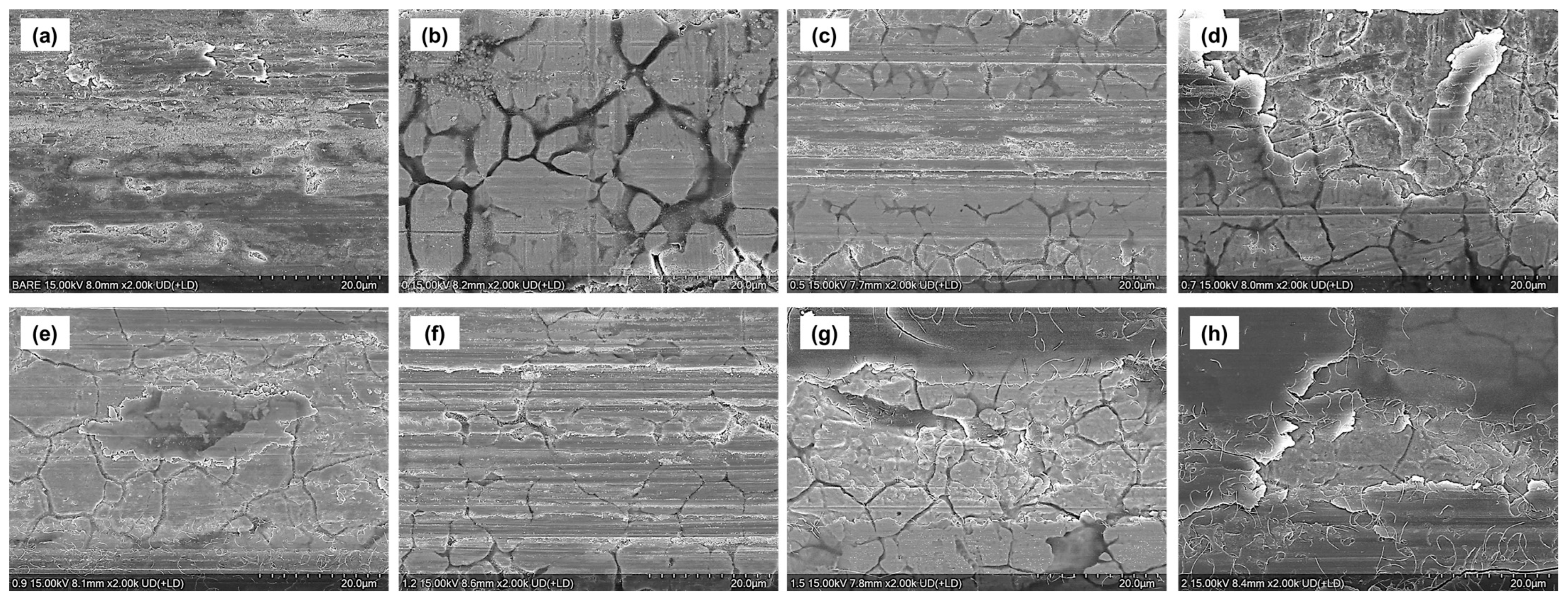 Materials 18 05092 g012