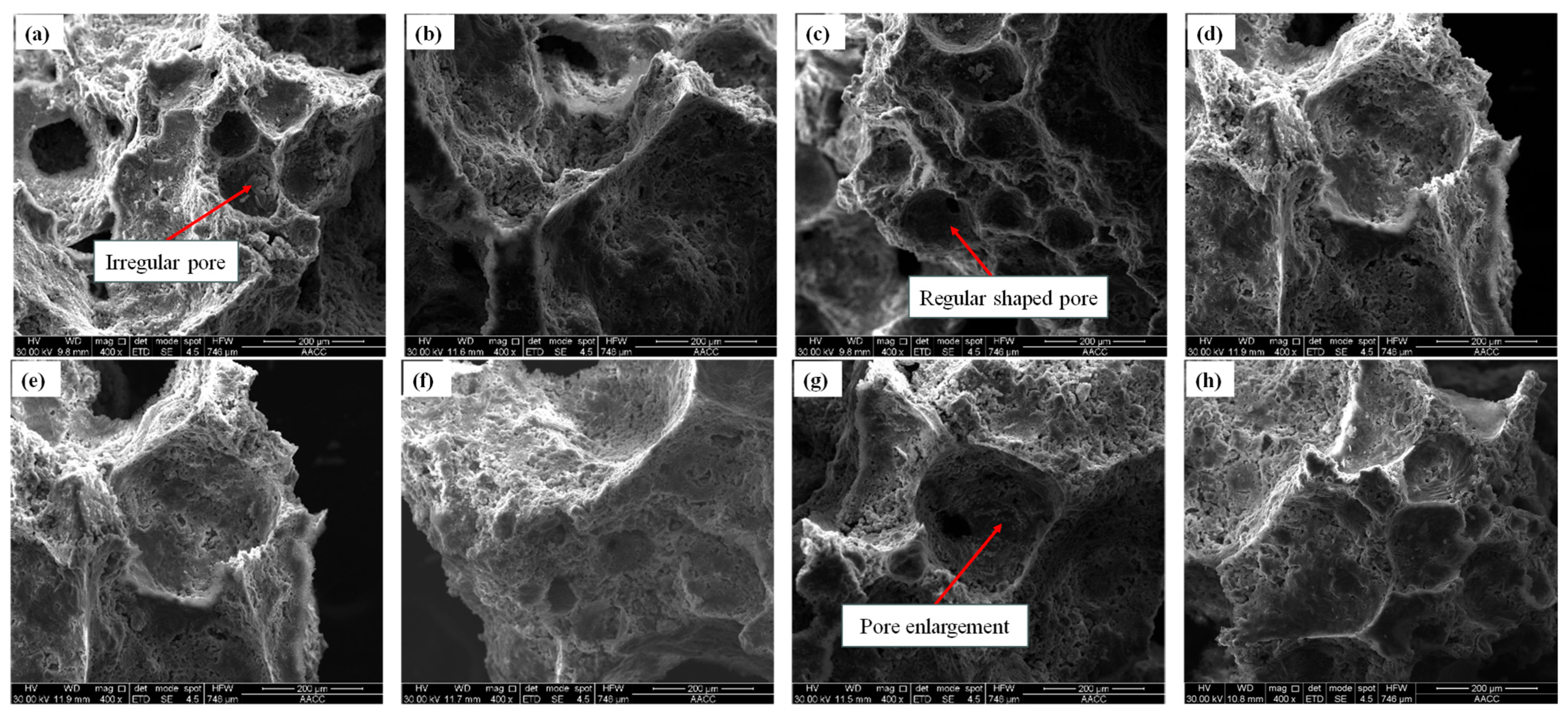Materials 18 05098 g011