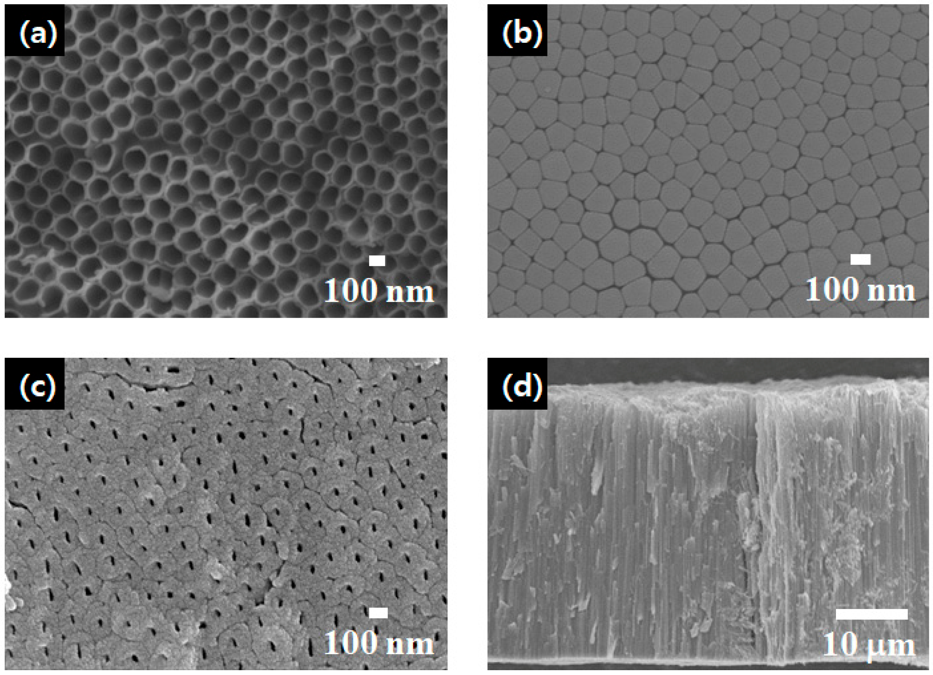 Materials 18 05101 g002