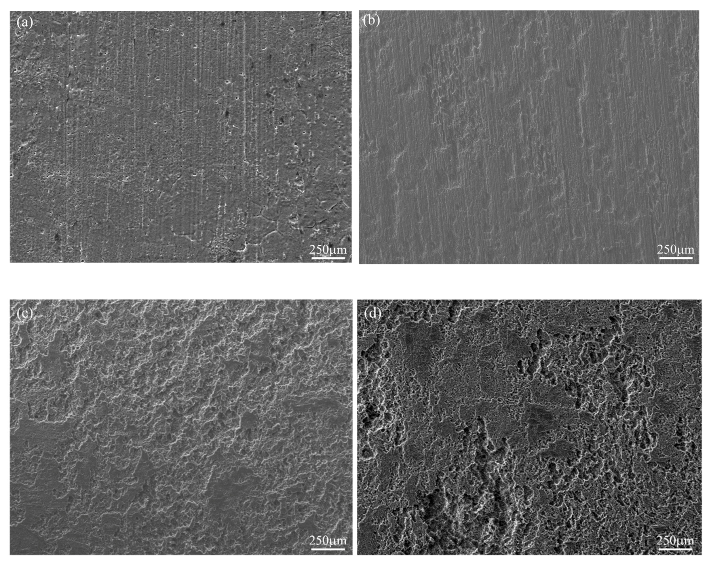 Materials 18 05102 g007