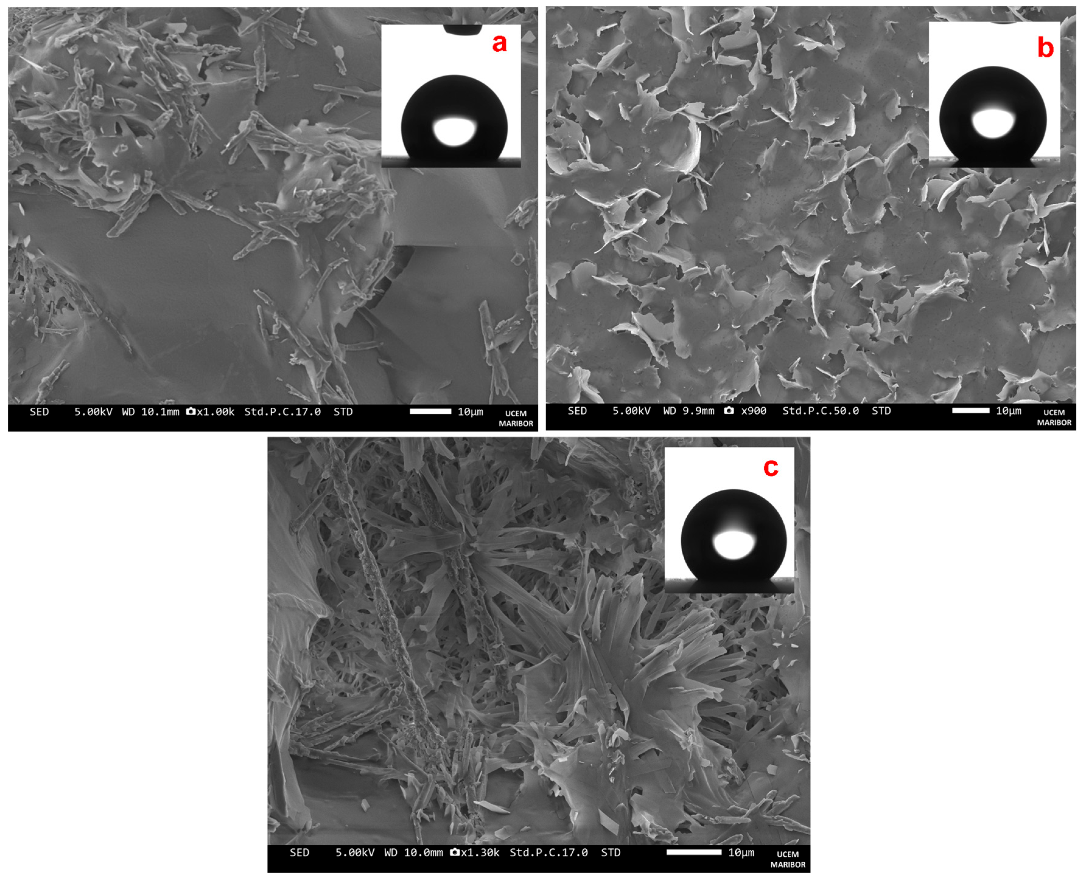 Materials 18 05107 g002