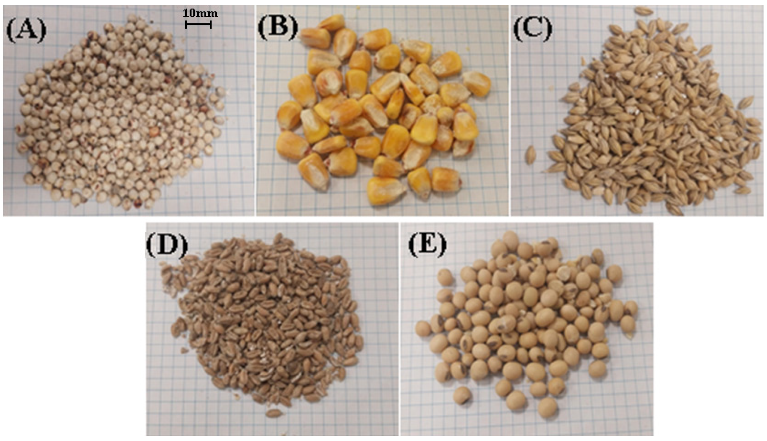 Materials 18 05117 g001