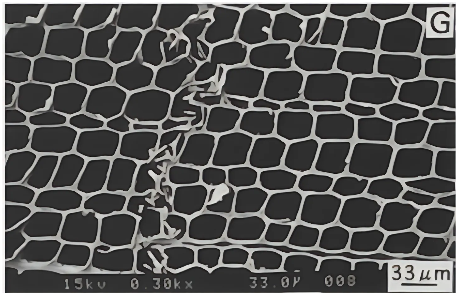 Materials 18 05118 g007