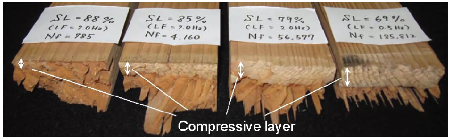 Materials 18 05118 g013